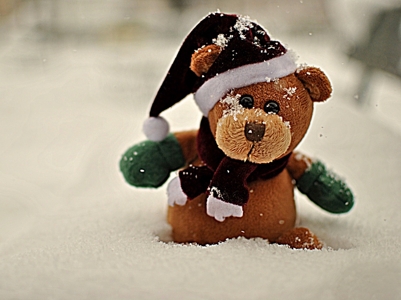 Wallpaper Snow, Teddy, Teddy Bear - Romantic Happy Teddy Day - HD Wallpaper 