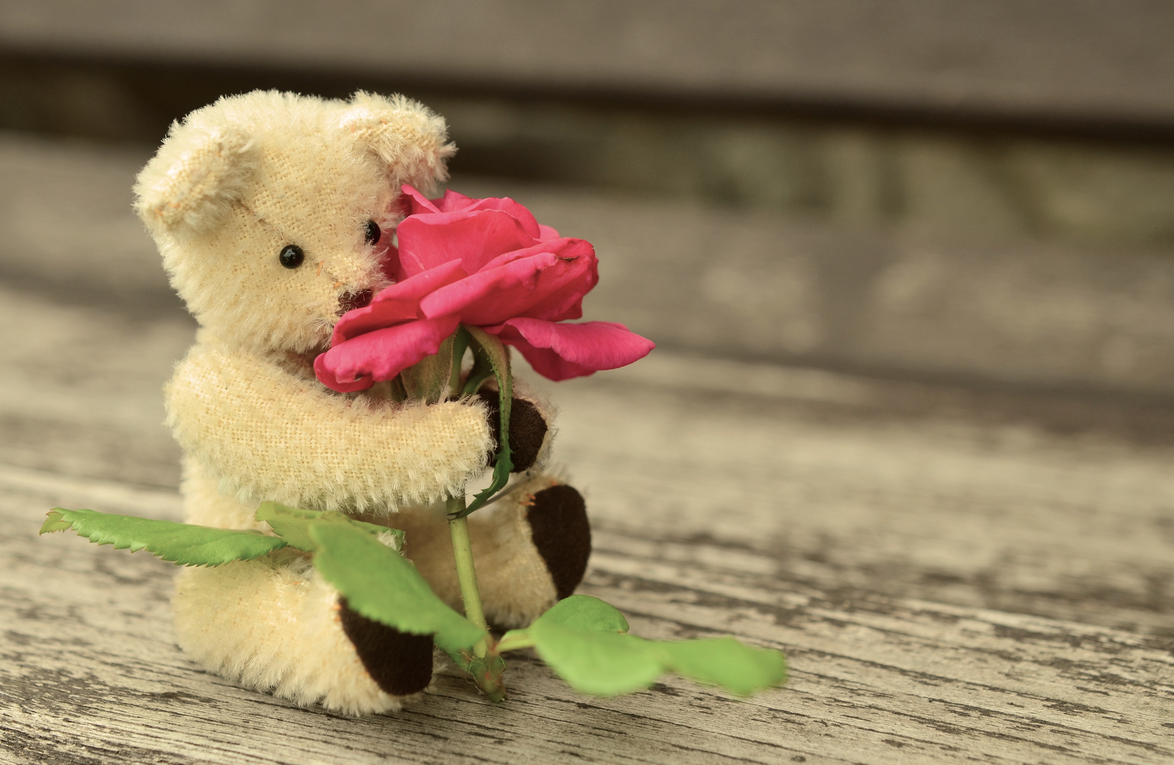 Good Morning Images Teddy Bear - HD Wallpaper 