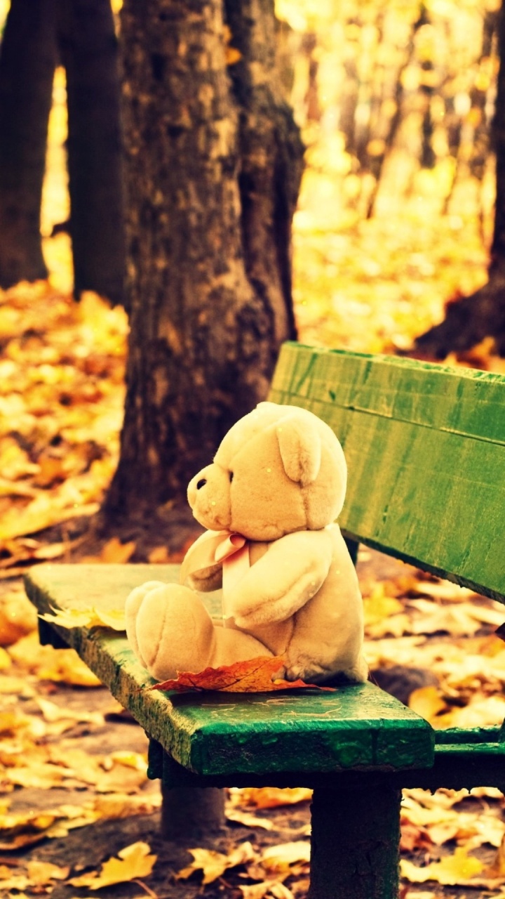 Sad Alone Teddy Bear - Love Sad Teddy Bear - HD Wallpaper 