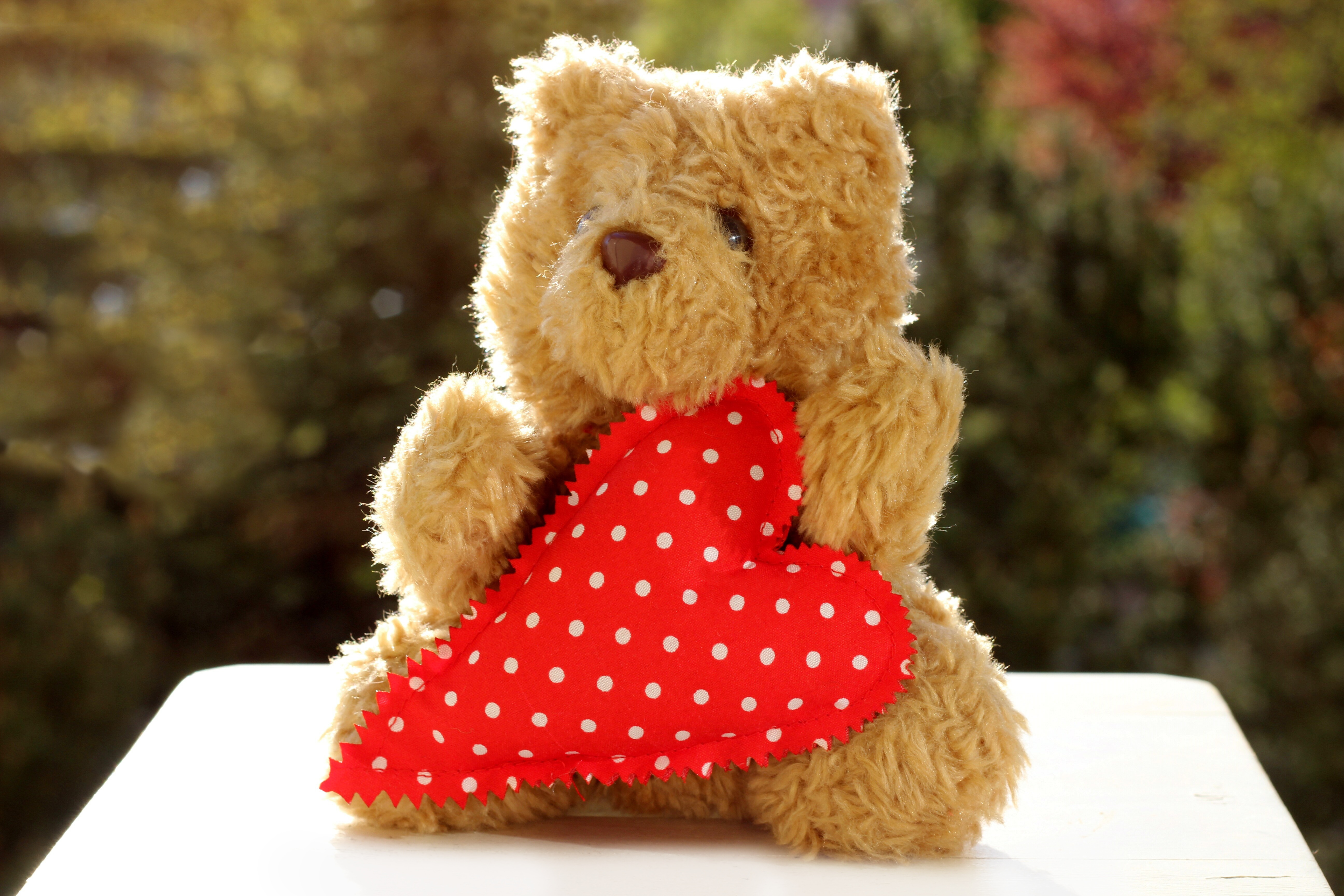 Love Teddy Bear Wallpaper - HD Wallpaper 