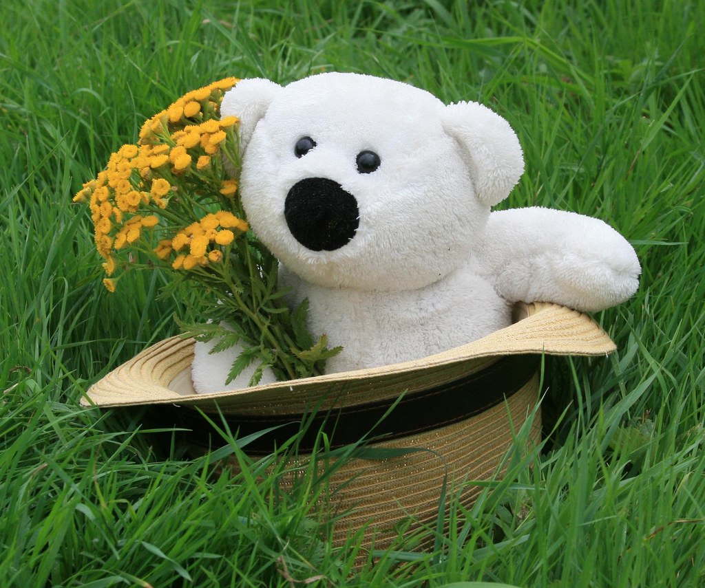 Teddy Bear With Flowers Hd - HD Wallpaper 