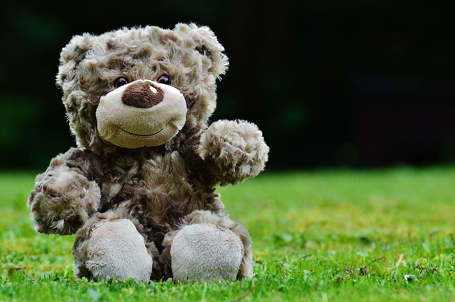 Teddy, Soft Toy, Stuffed Animal, Cute, Child, Sweet, - Teddy Bear - HD Wallpaper 