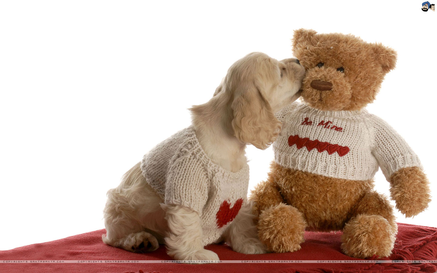 New Year Quotes Cute - HD Wallpaper 