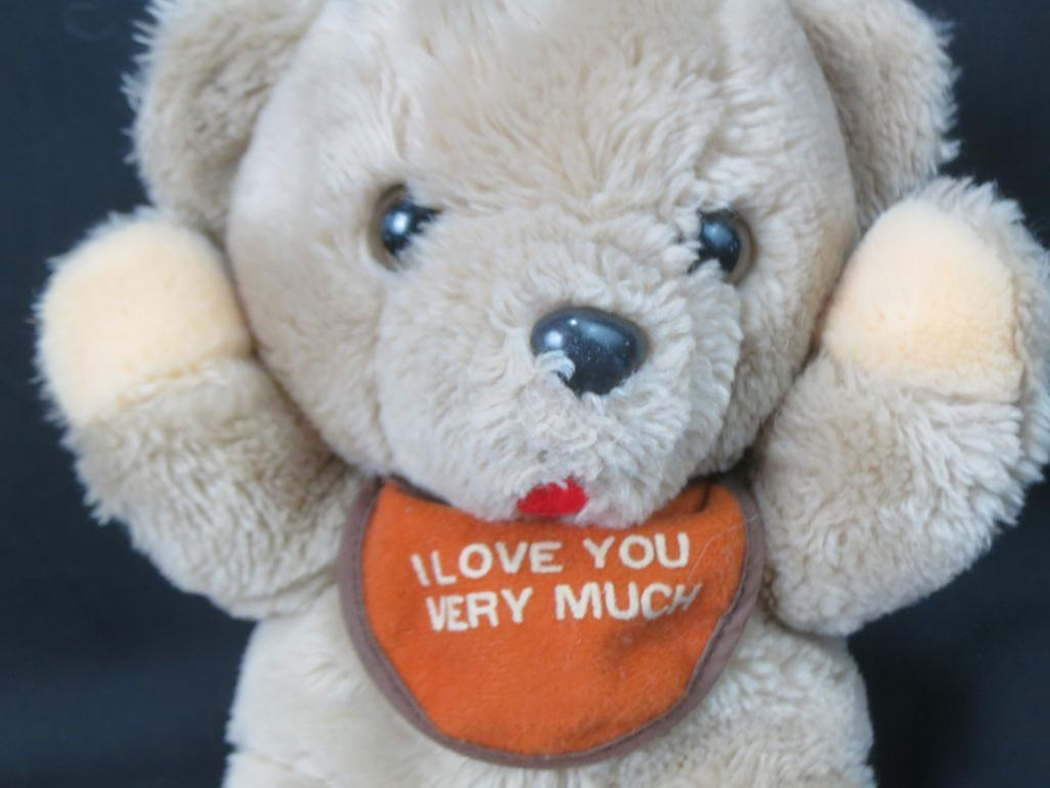 Teddy Bear - HD Wallpaper 