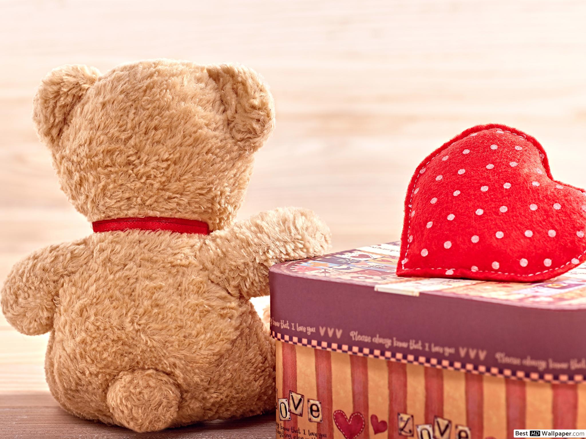 Urso De Pelucia Triste De Costas - HD Wallpaper 