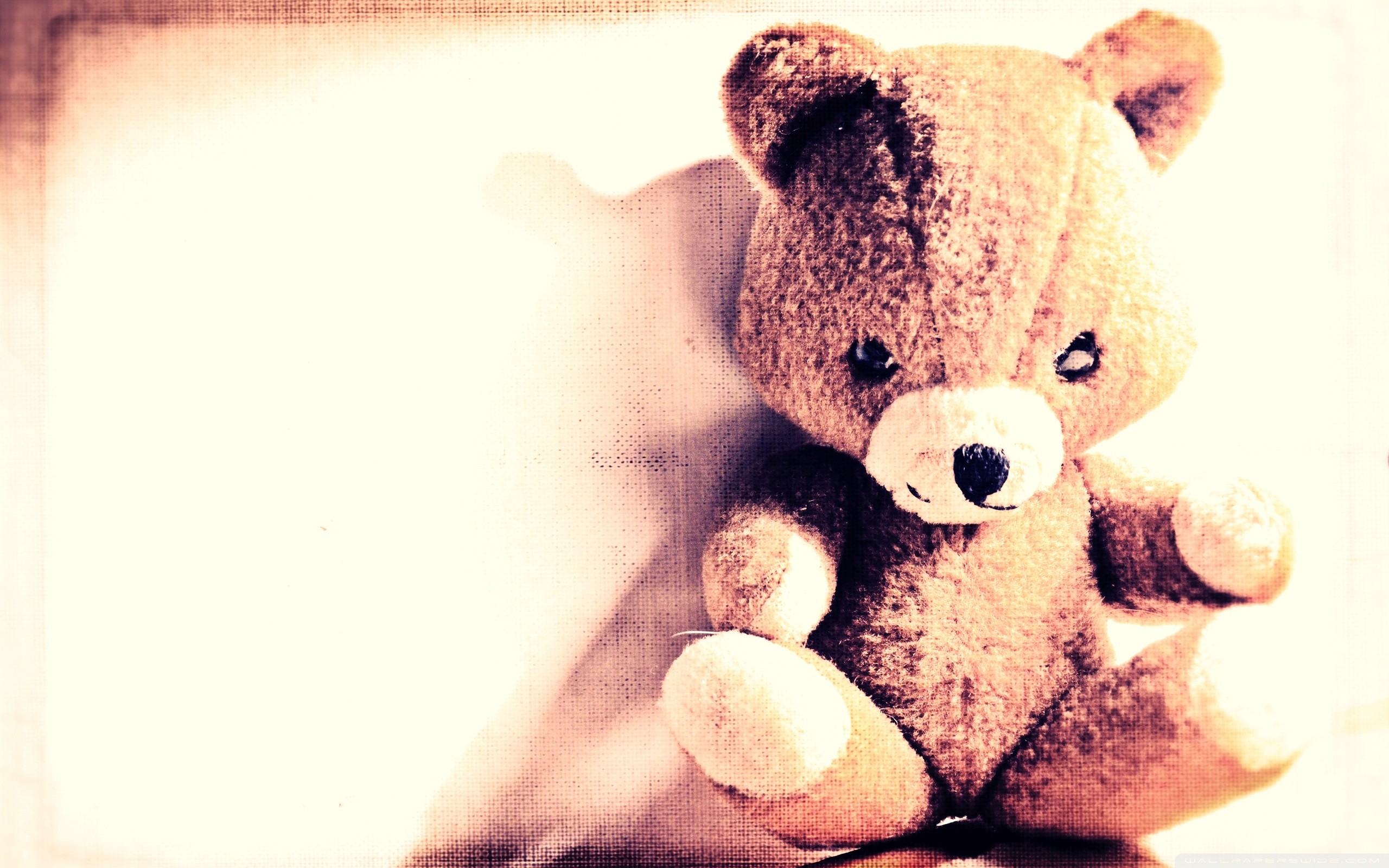 Cute Teddy Bear Wallpaper Most Popular Cute Teddy Bear - Hd Teddy Bear Desktop - HD Wallpaper 