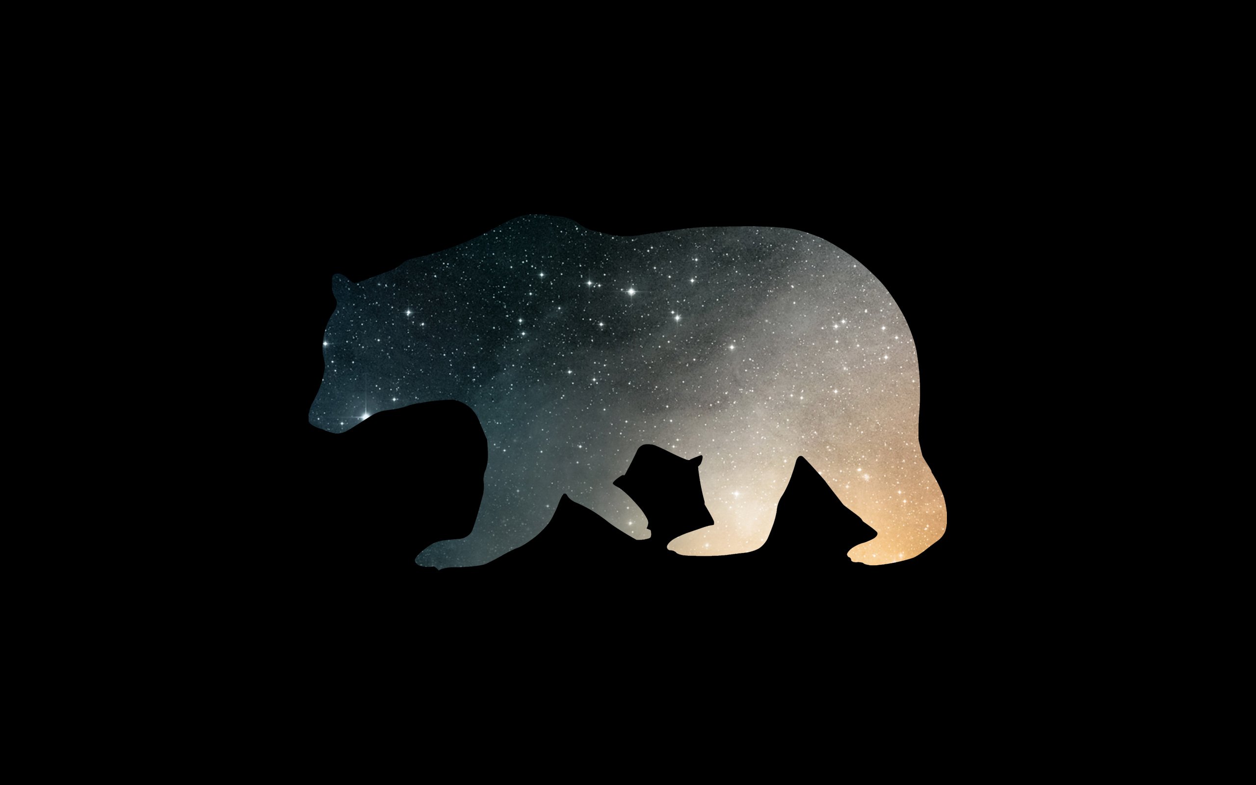 Minimal Bear S Wallpaper - Bear Wallpaper Phone - HD Wallpaper 