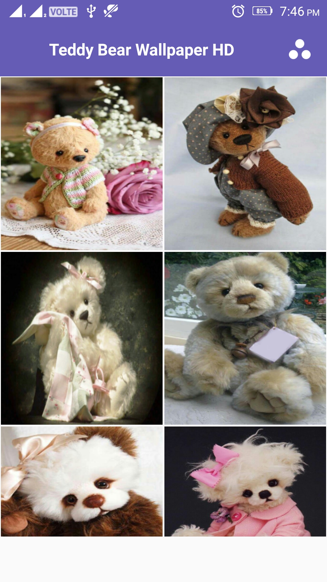 Teddy Bear - HD Wallpaper 
