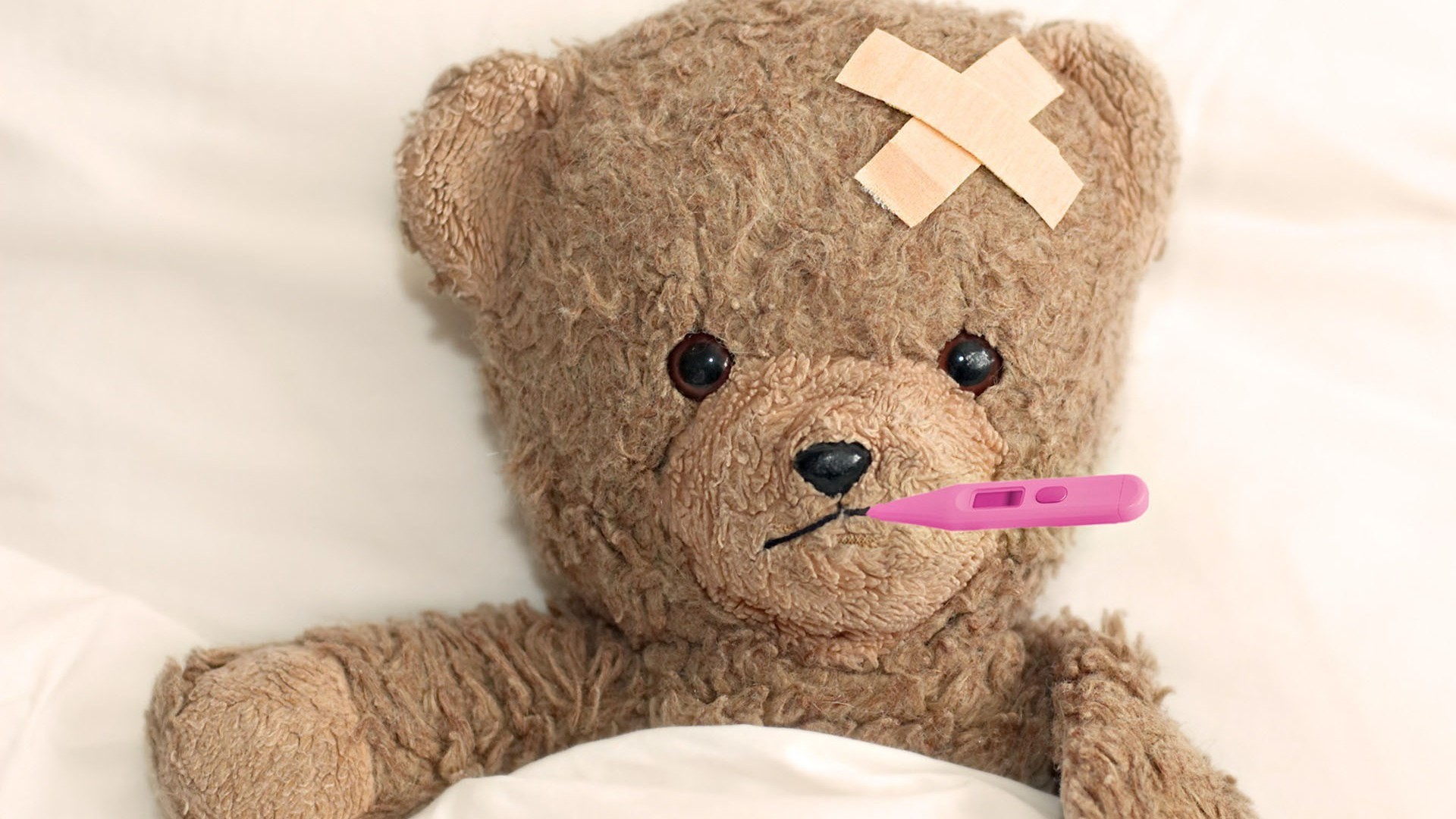 Funny Cute Sick Teddy Bear Wallpapers Hd 
 Data-src - Sick Hd - HD Wallpaper 