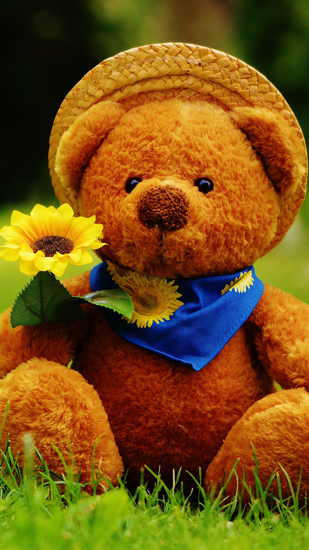 Mobile Wallpaper Teddy Bear - HD Wallpaper 