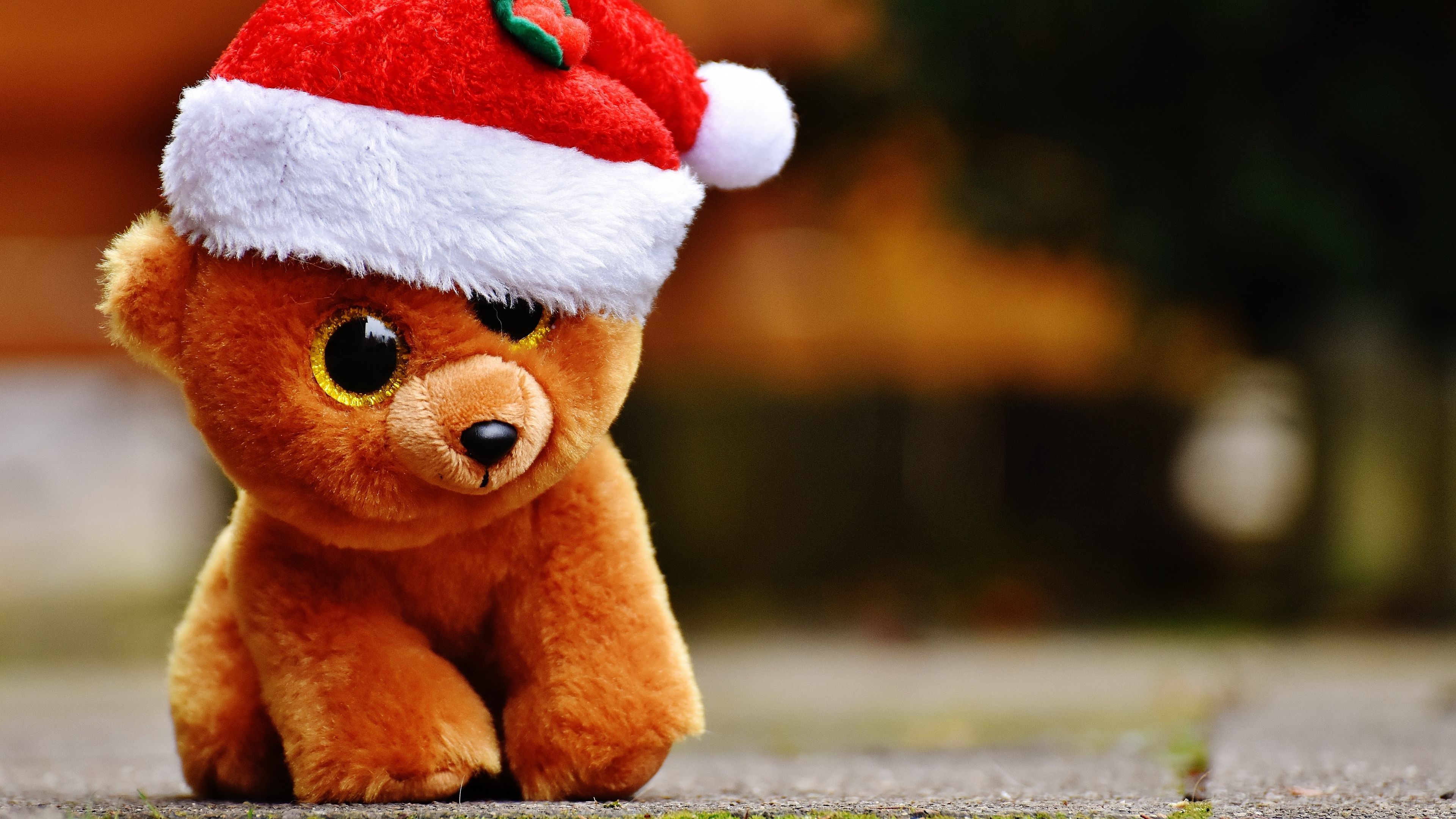 Cute Teddy Bear Wallpaper Hd - 3840x2160 Wallpaper Cute Teddy Bear Wallpaper Hd - 3840x2160 Wallpaper