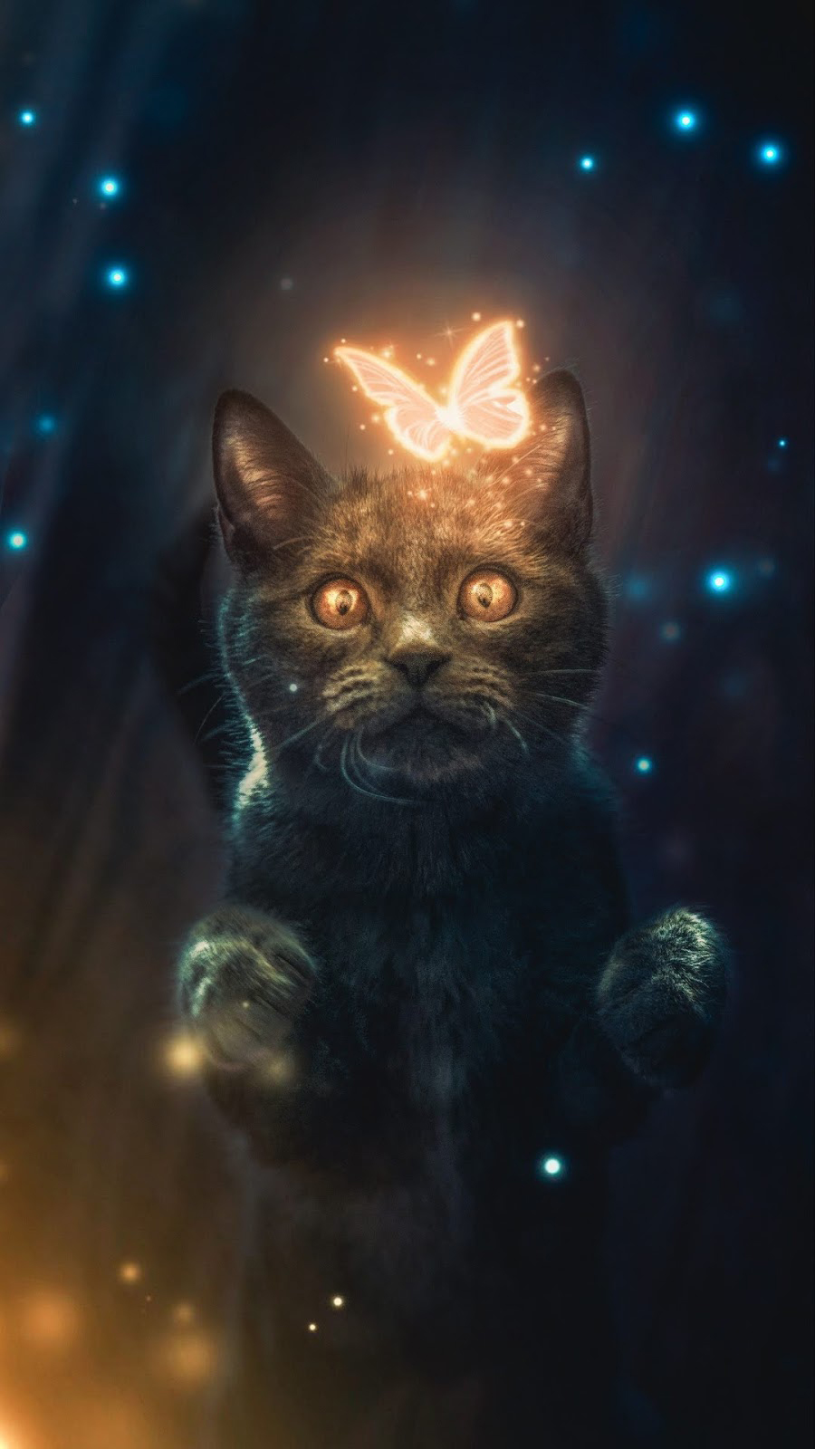 Wallpaper - HD Wallpaper 