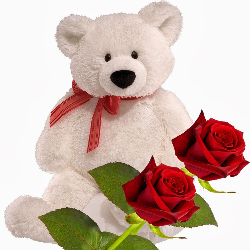 Teddy Bear Good Night - 1000x1000 Wallpaper Teddy Bear Good Night - 1000x1000 Wallpaper
