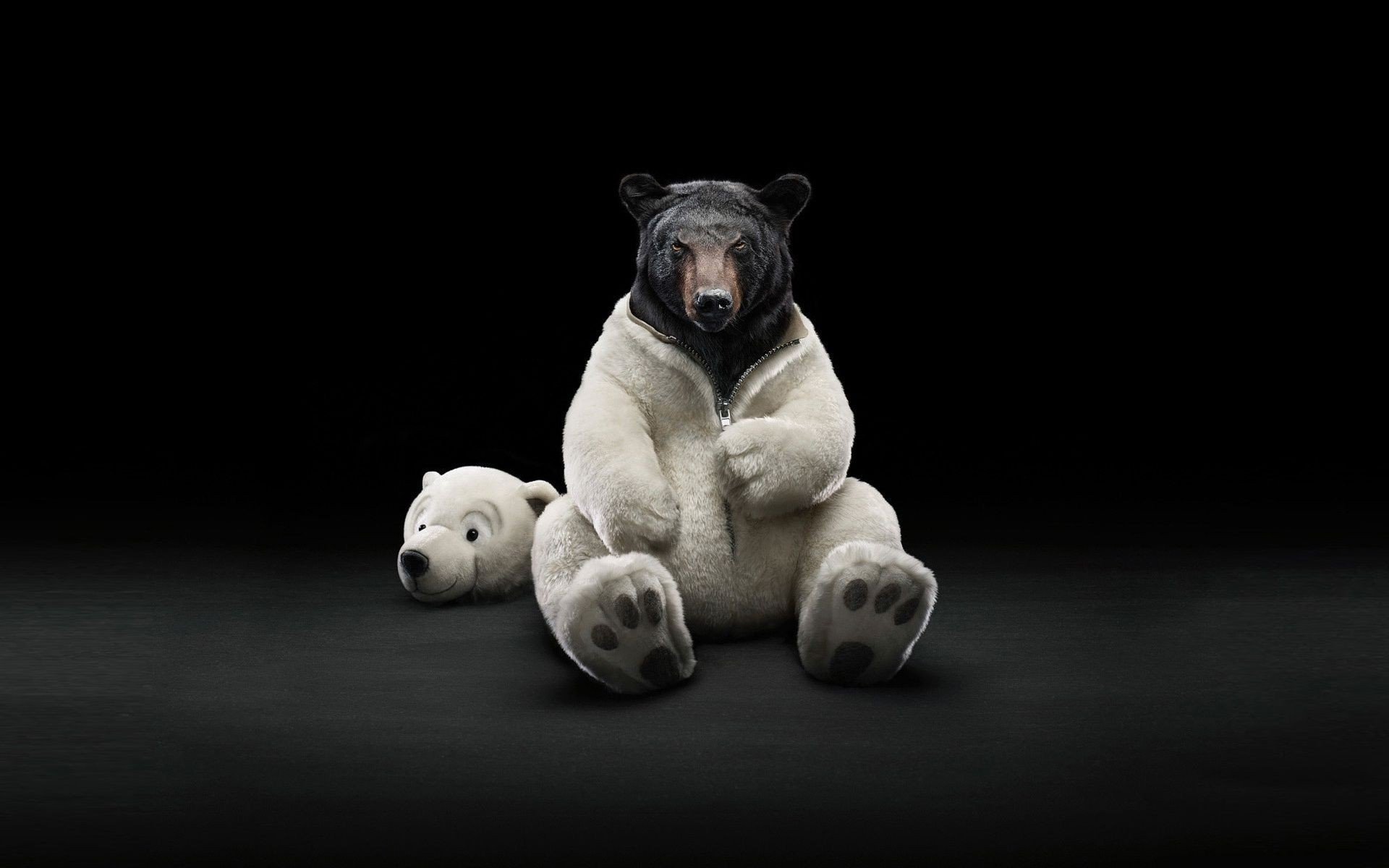 Black Bear In Polar Bear Costume - HD Wallpaper 