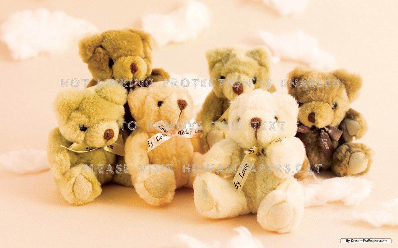 Love Teddy Bears Stuffed Animals Cute - Teddy Bear - HD Wallpaper 