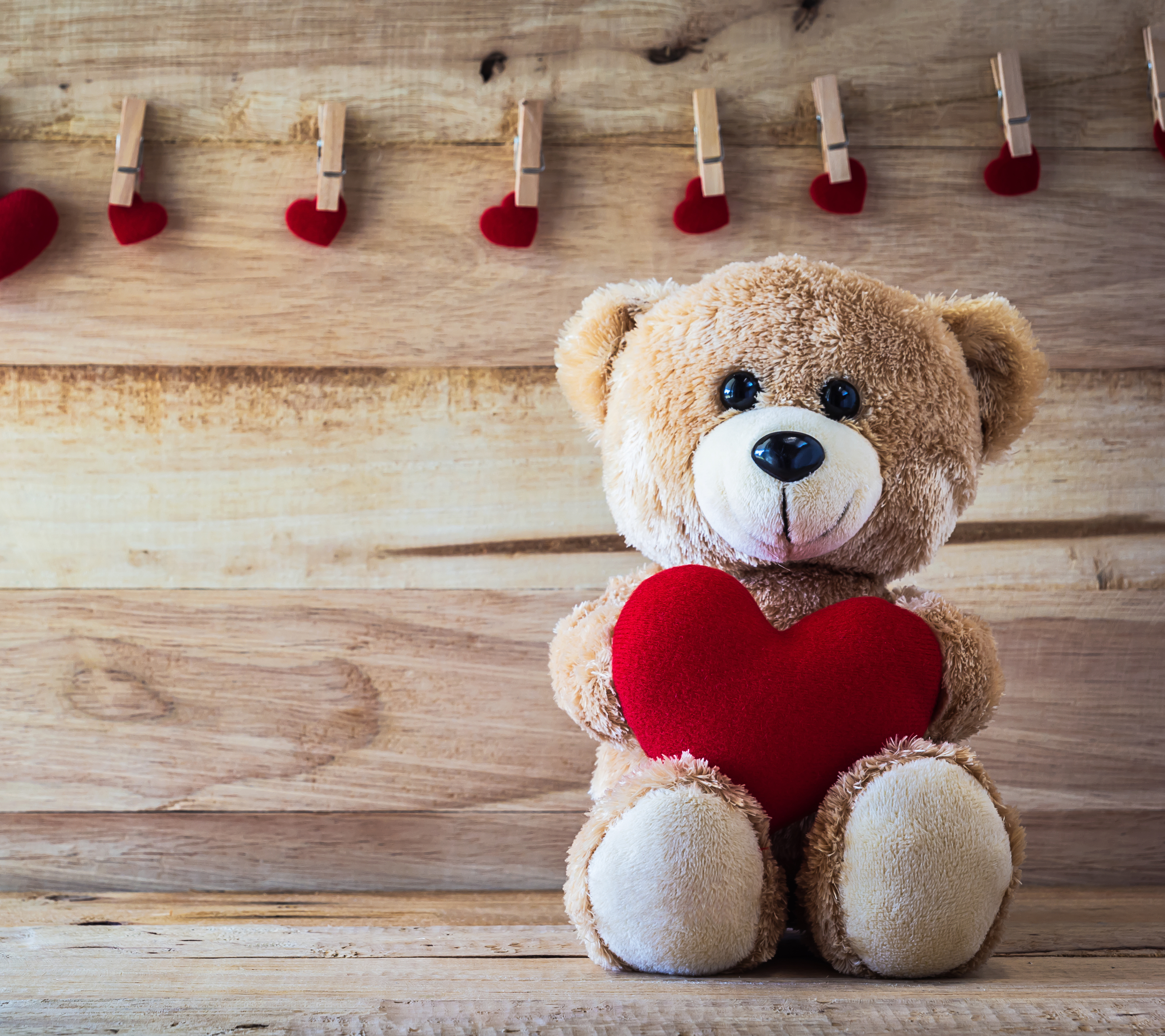 Hd Wallpaper Teddy Bear - 2880x2560 Wallpaper Hd Wallpaper Teddy Bear - 2880x2560 Wallpaper