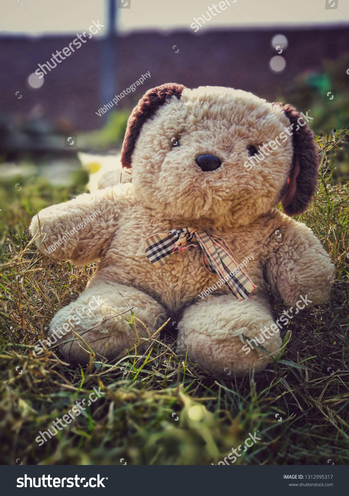 Teddy Bear - HD Wallpaper 