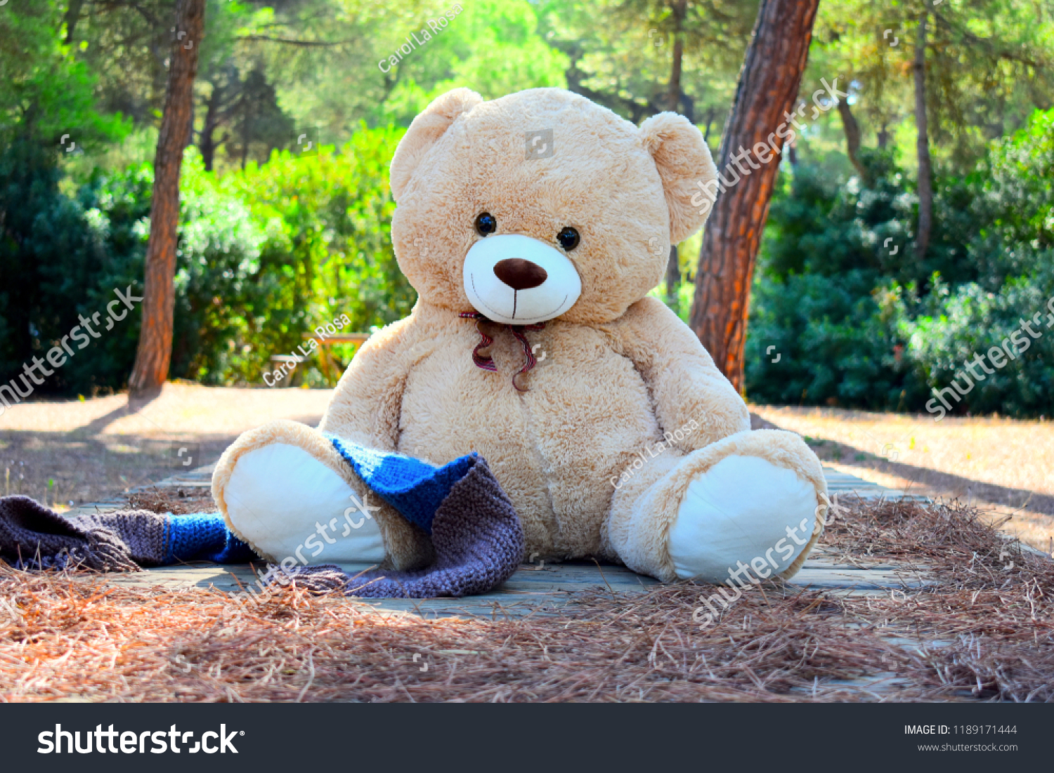 Teddy Bear - HD Wallpaper 