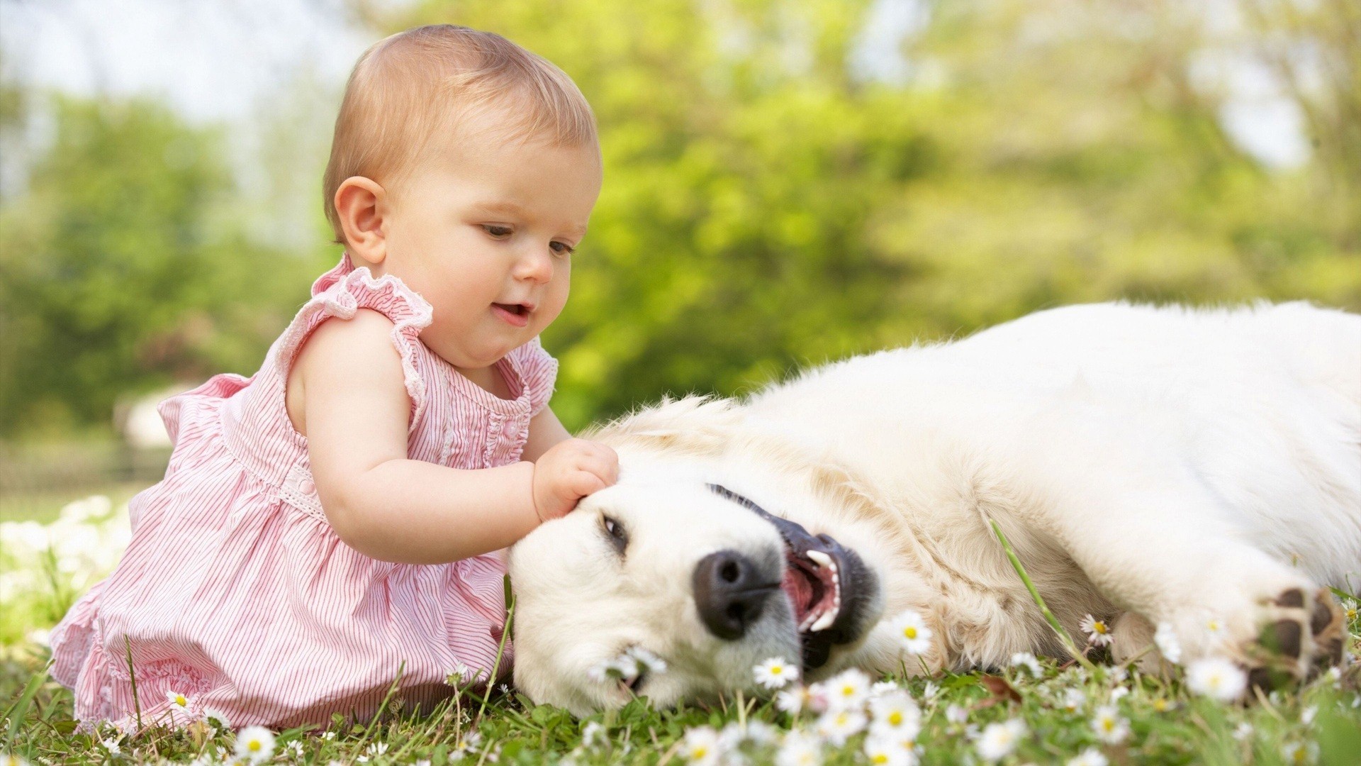 Cute Baby With Dog Hd Wallpaper 
 Data Src Vertical - Cute Beautiful Images Hd - HD Wallpaper 