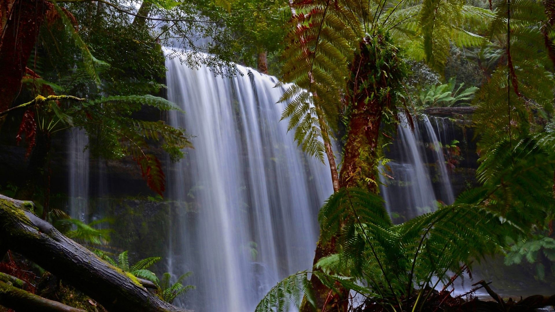 Nature Wallpapers For Desktop Background Full Screen - HD Wallpaper 