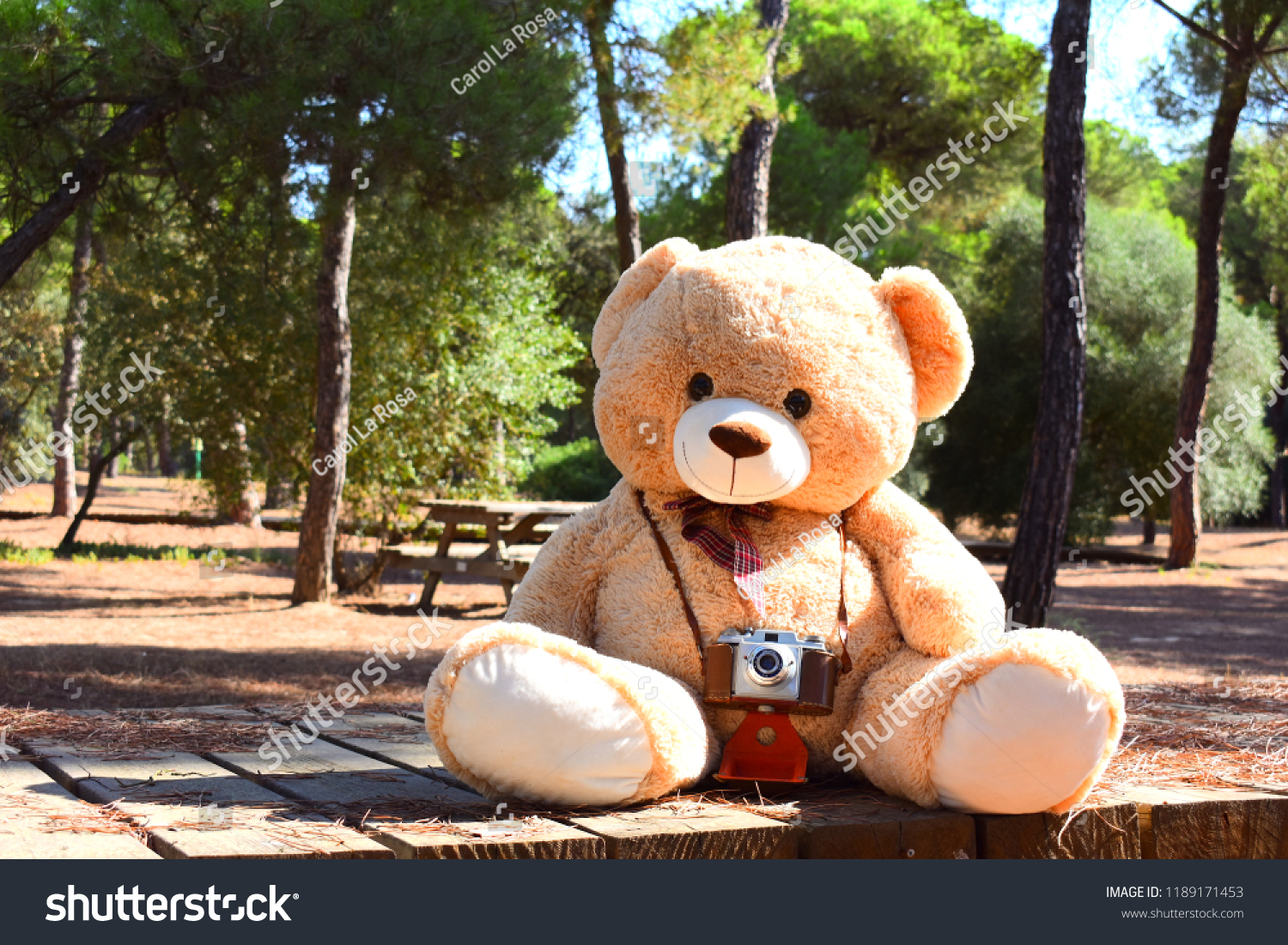 Teddy Bear - HD Wallpaper 