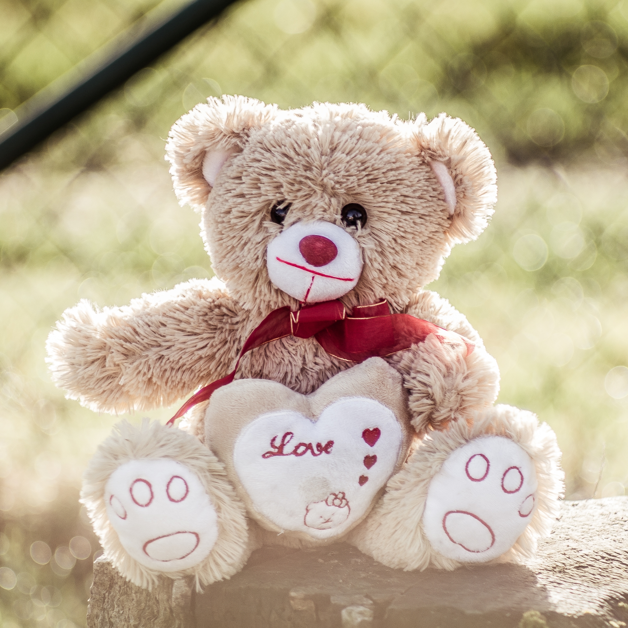 Mobile Wallpaper Teddy - HD Wallpaper 