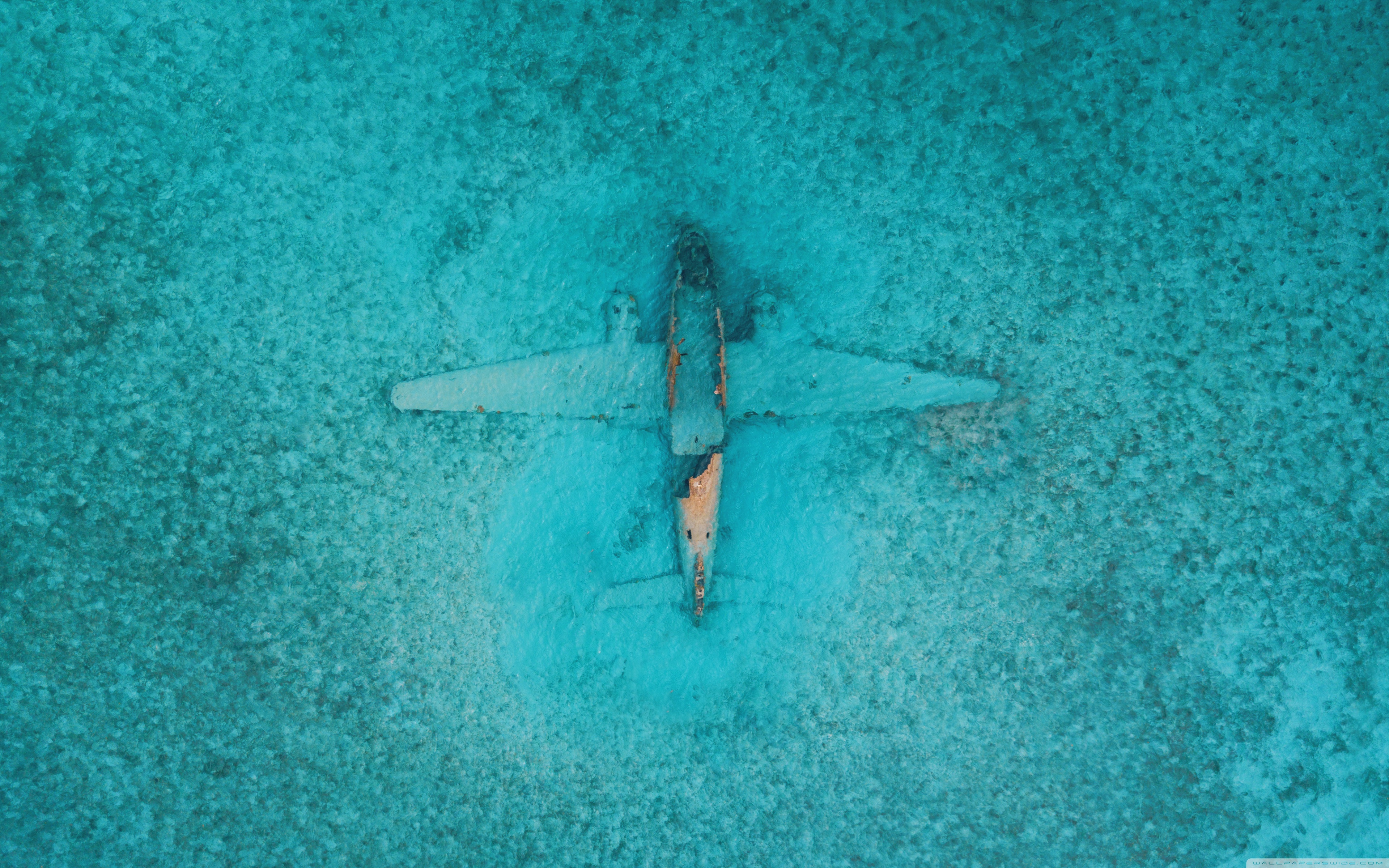 1440p - HD Wallpaper 