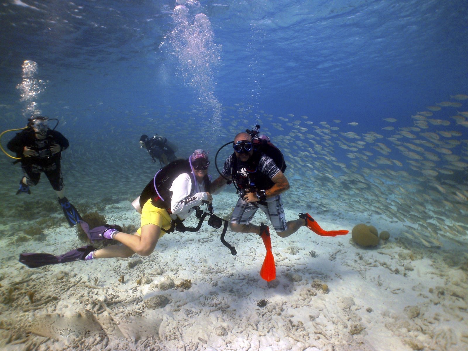 Underwater - HD Wallpaper 