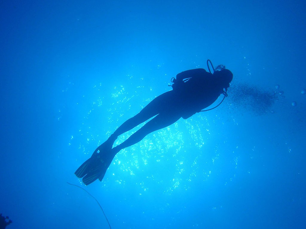 Scuba Diving - HD Wallpaper 