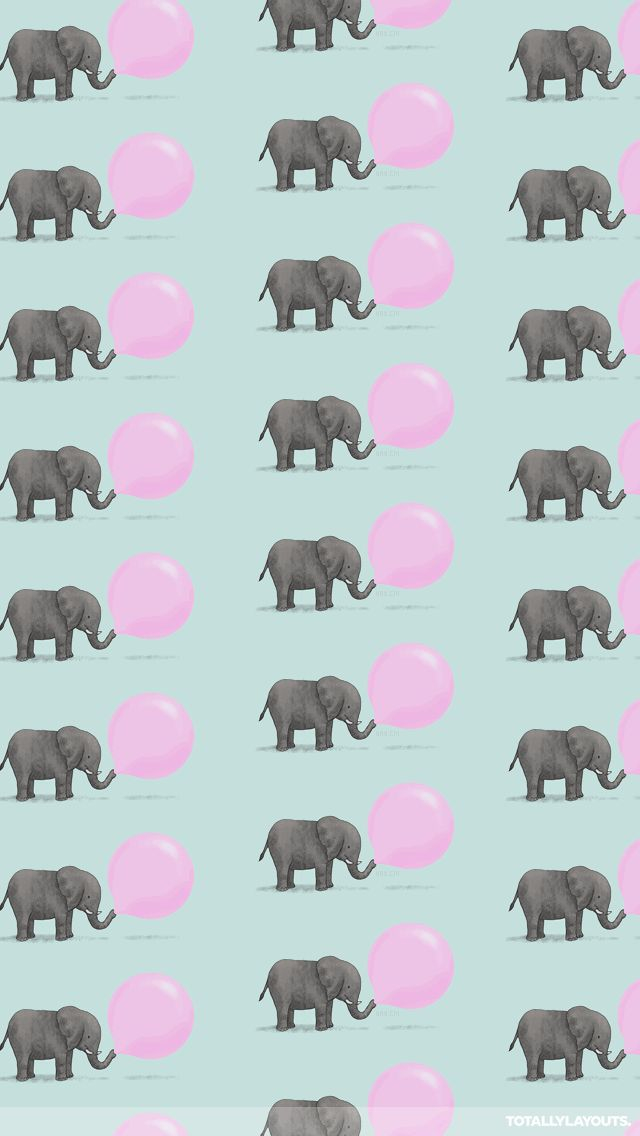Elephant, Wallpaper, And Background Image - Wallpaper - HD Wallpaper 