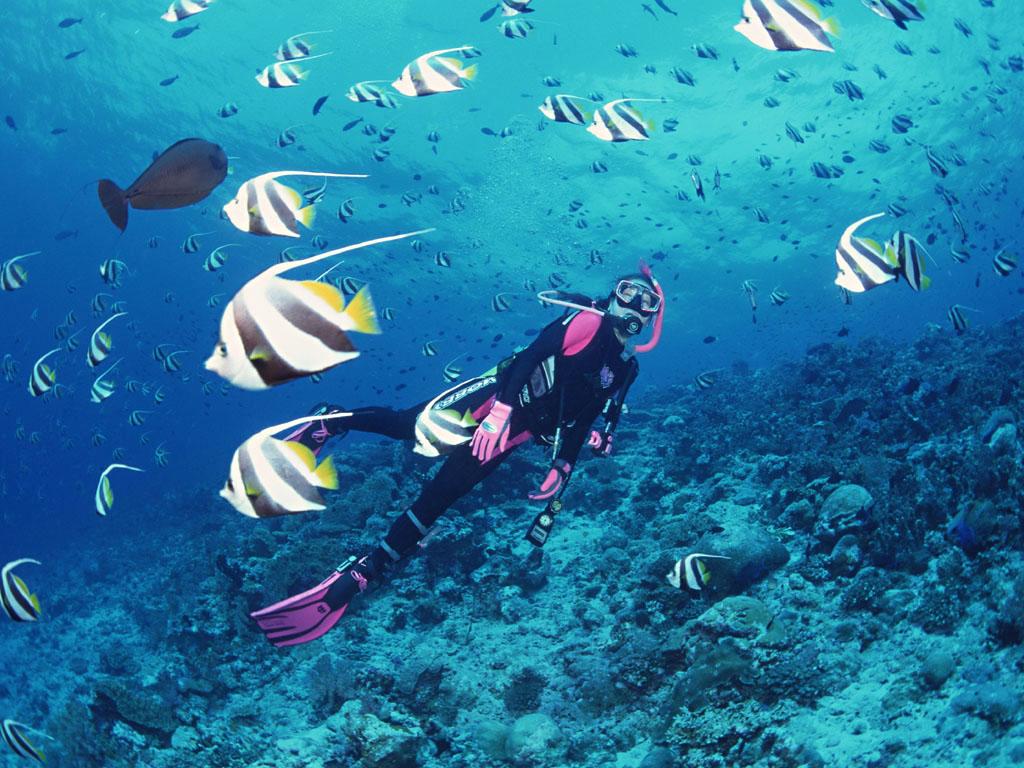Kish Island Scuba Diving - HD Wallpaper 