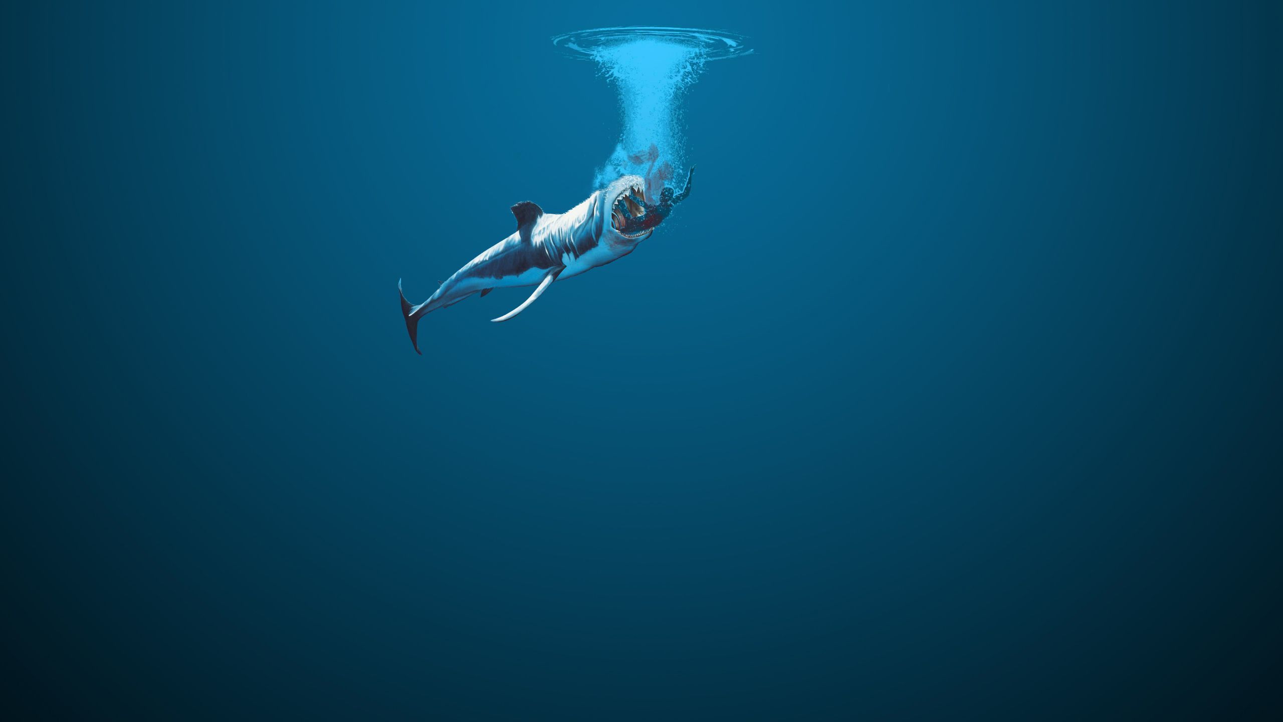 Underwater - HD Wallpaper 