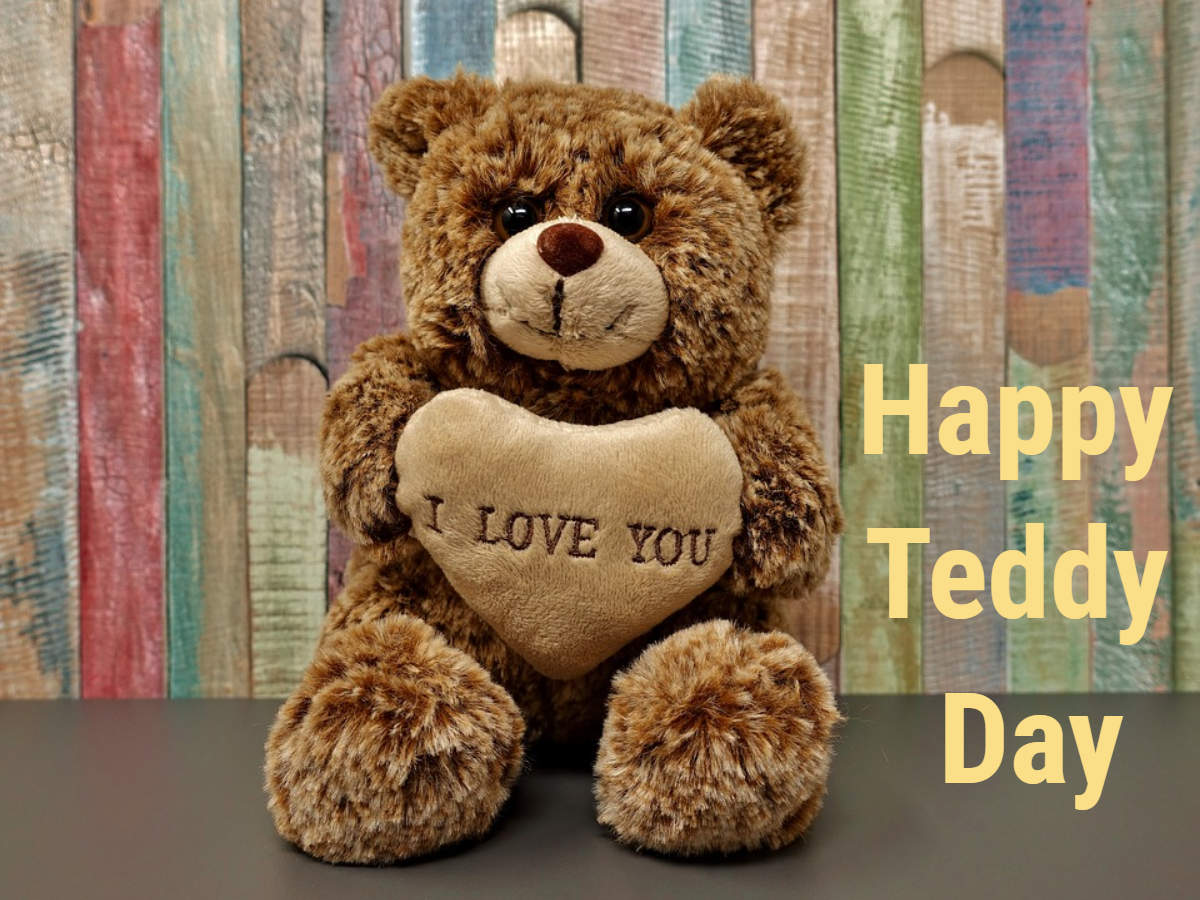 Simple Tips To Protect Yourself - Happy Teddy Day 2019 - HD Wallpaper 
