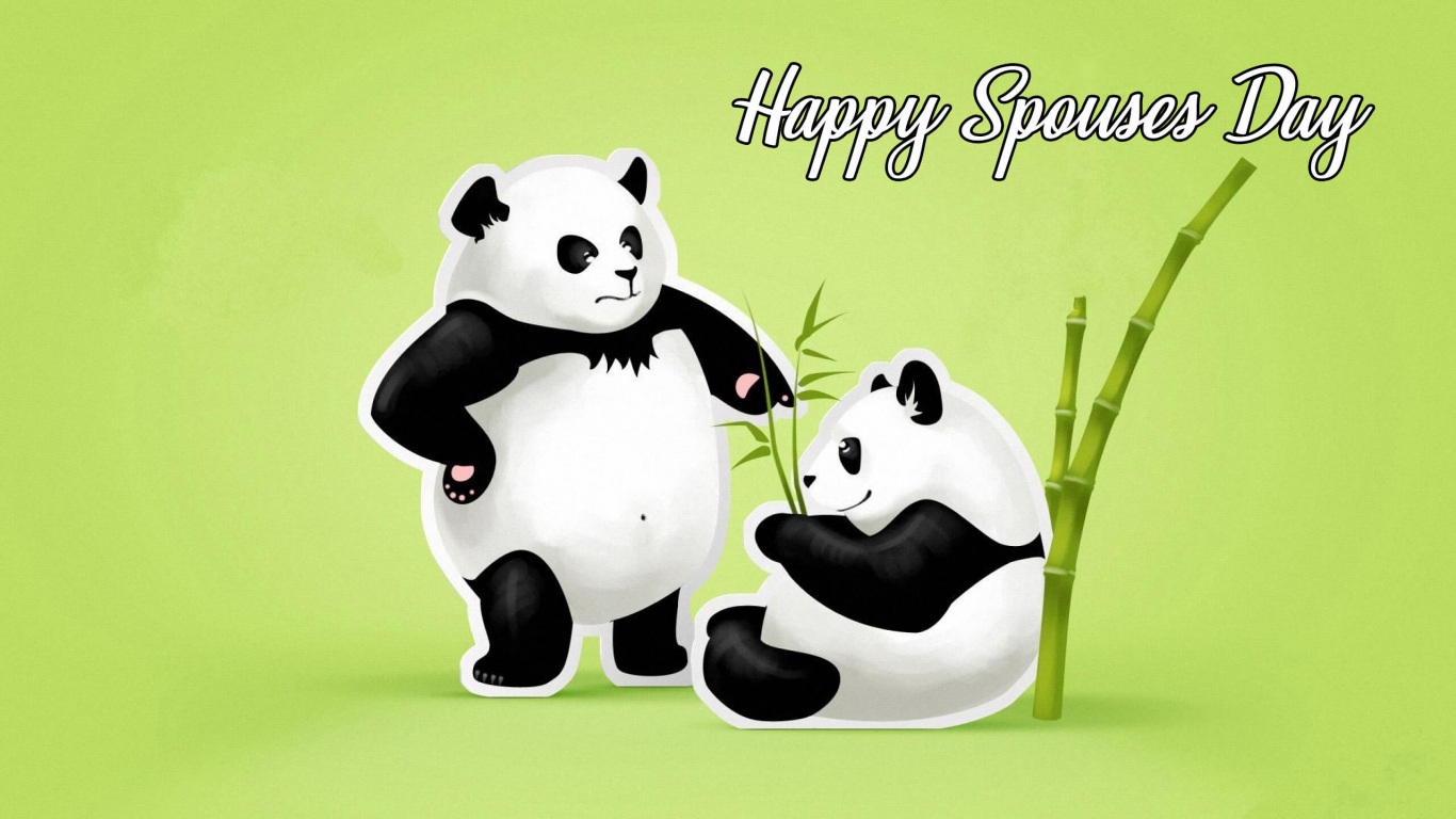 Panda Couple Wallpaper Hd - HD Wallpaper 