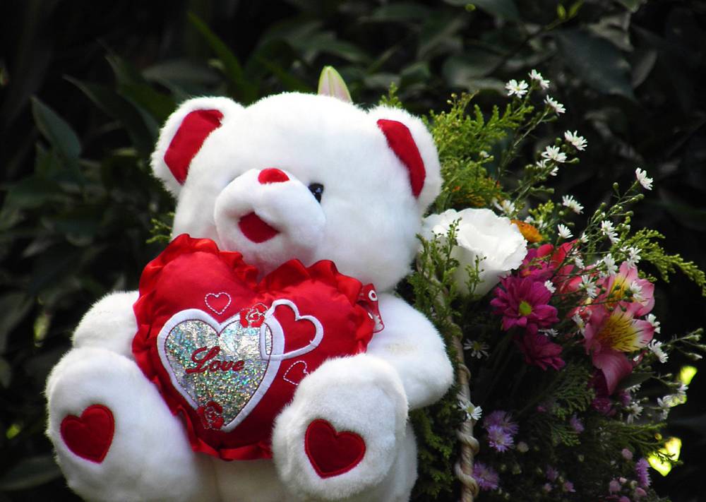 lovely teddy bear hd image