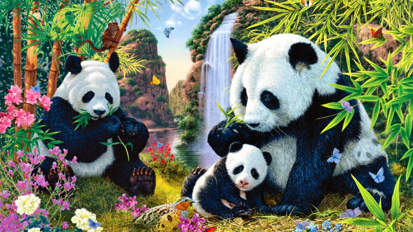 Best Panda Background Id - Panda Wallpaper For Laptop - HD Wallpaper 