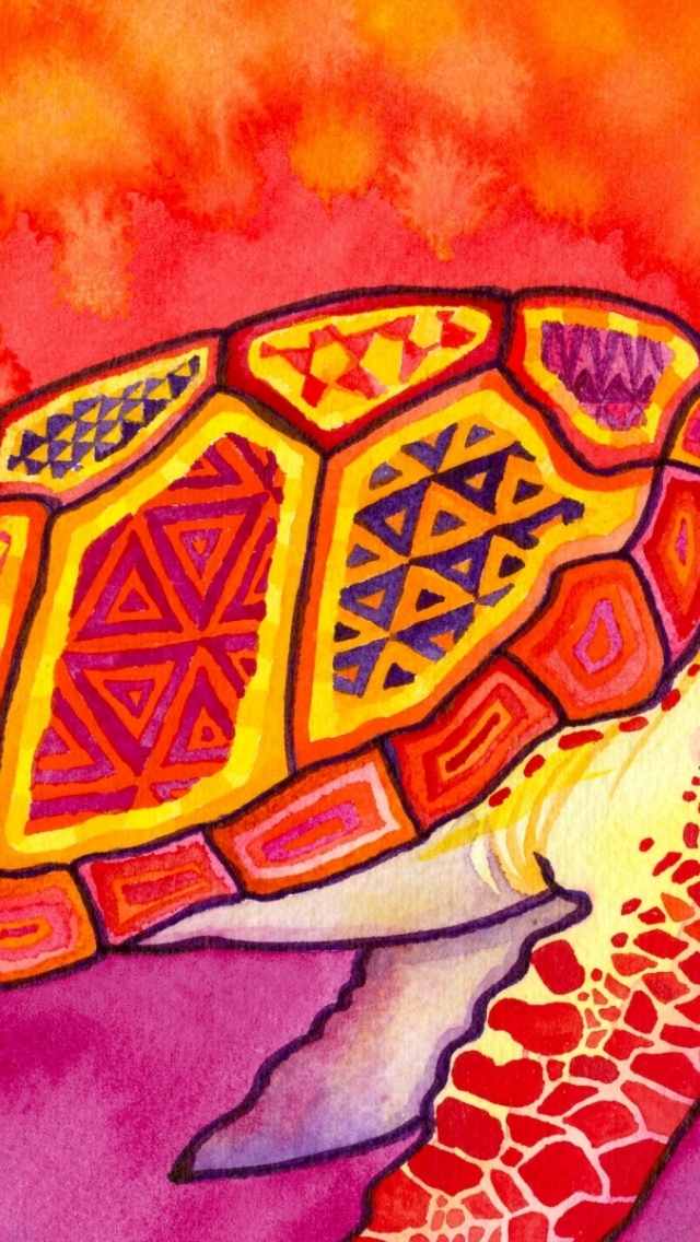 Colourful Turtle - HD Wallpaper 