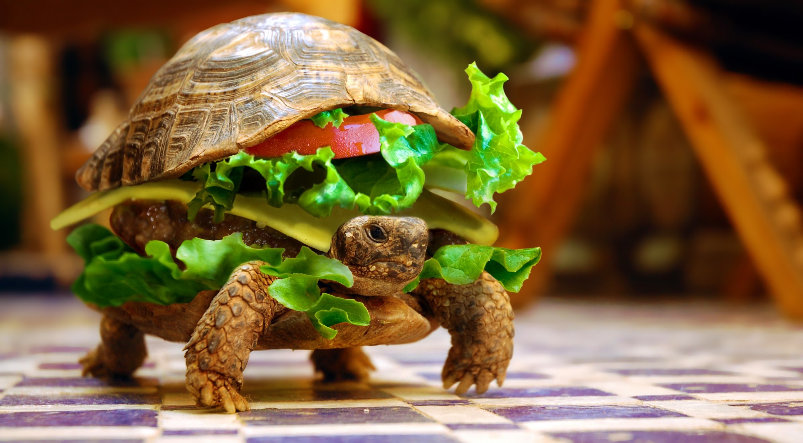 Turtle Burger Hd - HD Wallpaper 