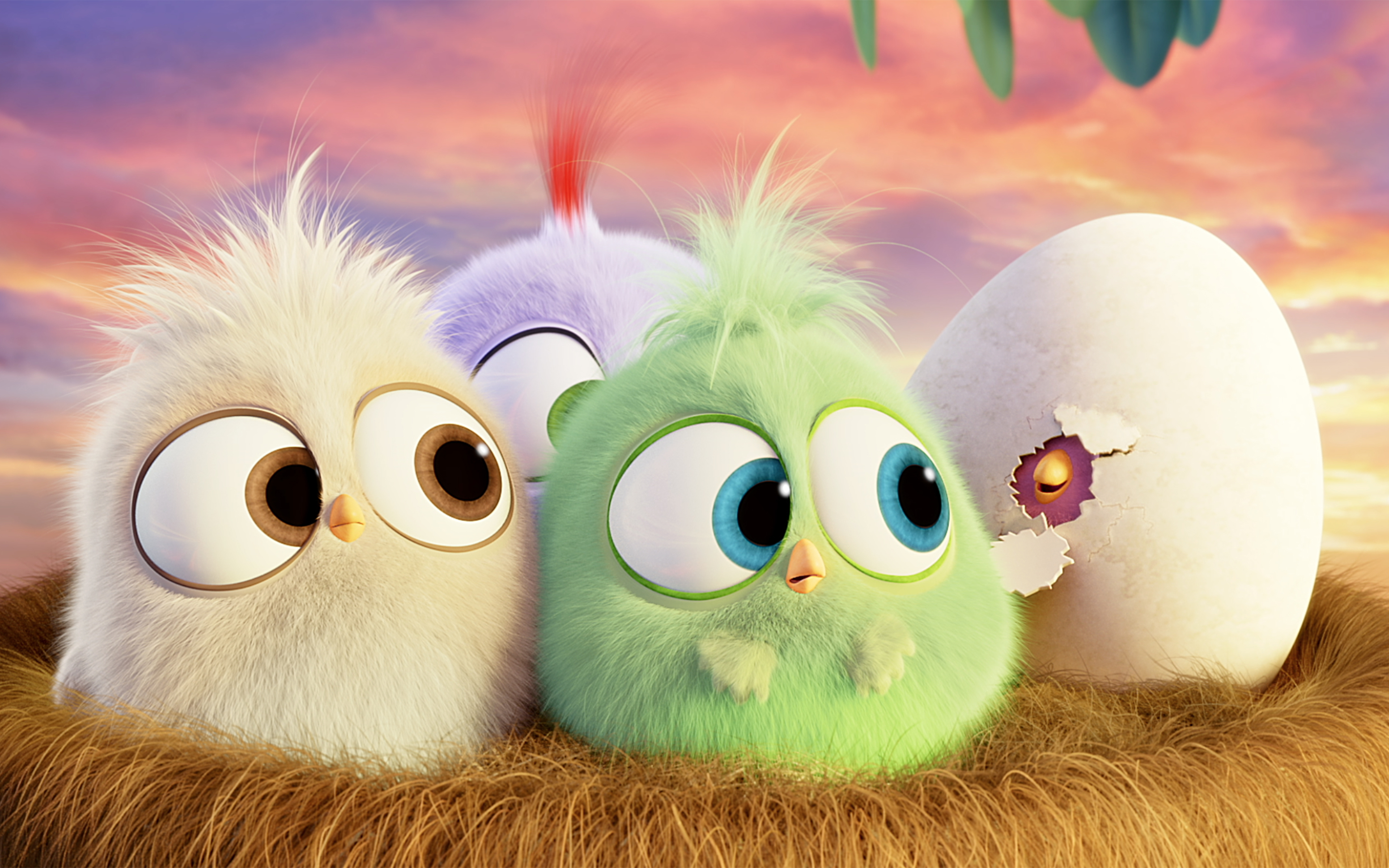 Cute Wallpaper Angry Bird - HD Wallpaper 