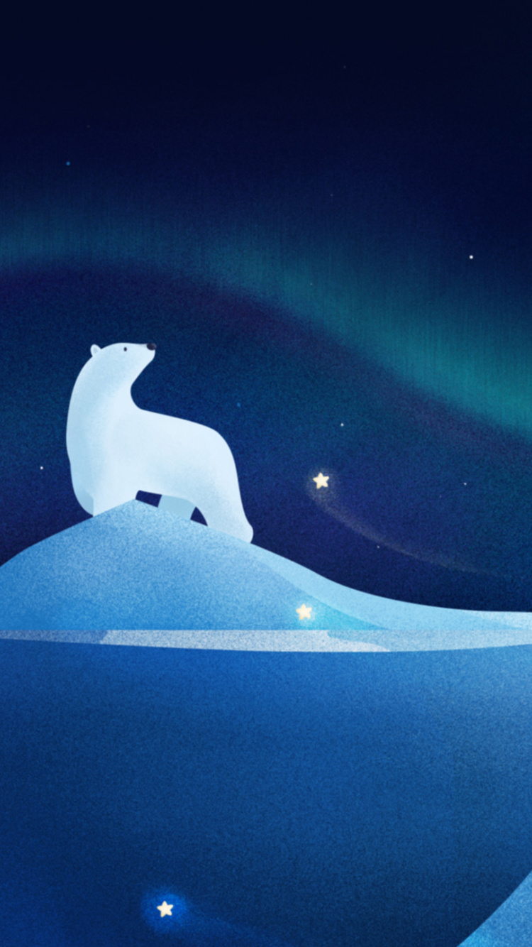 Arctic Hare - HD Wallpaper 