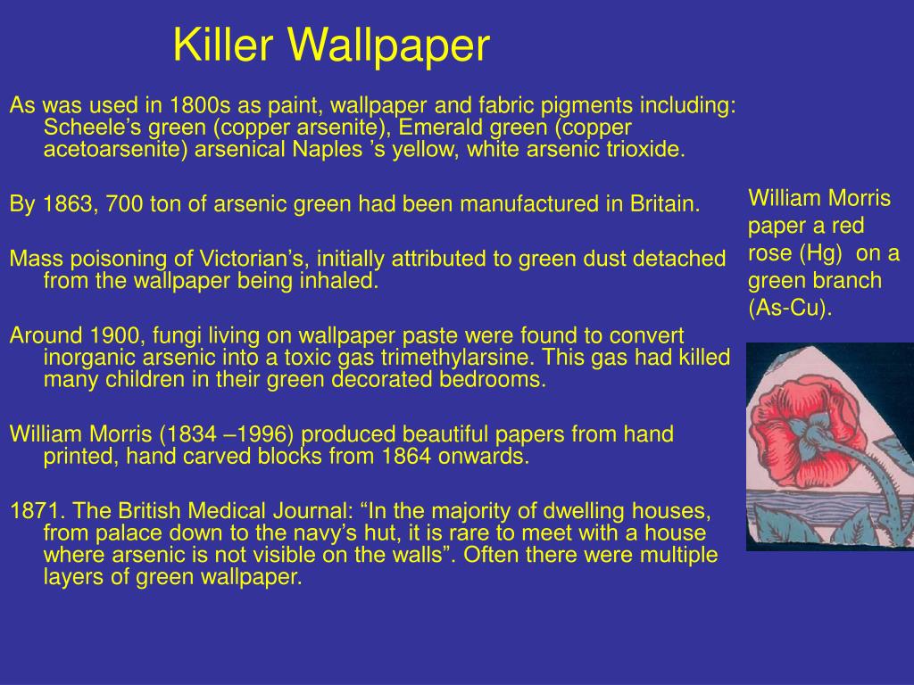 Document - HD Wallpaper 