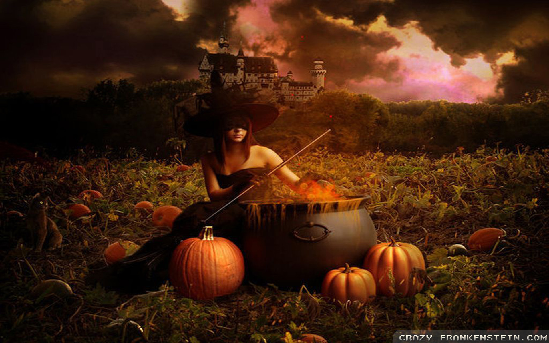 Halloween Witch Wallpaper Hd - HD Wallpaper 