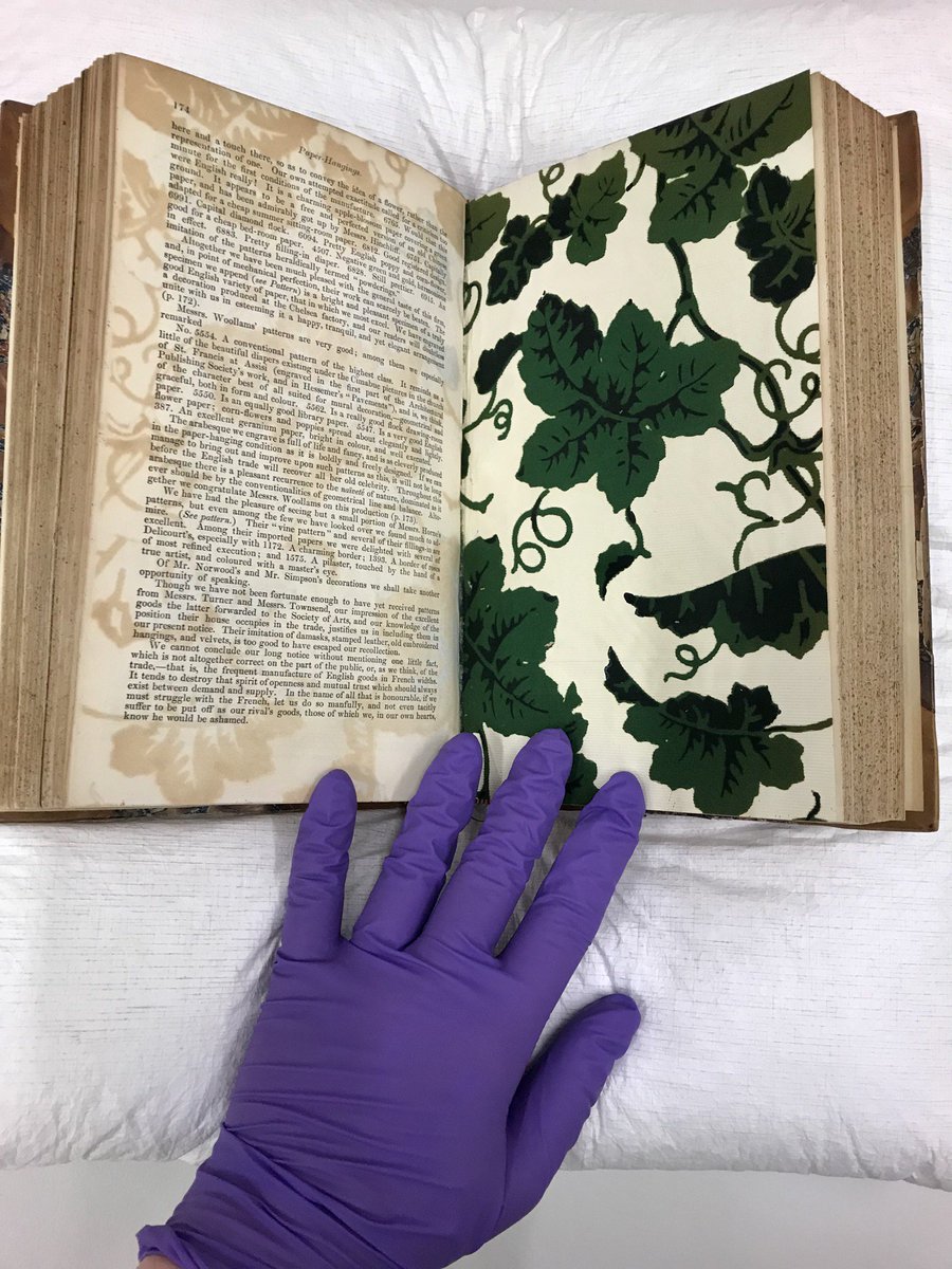 Motif - HD Wallpaper 