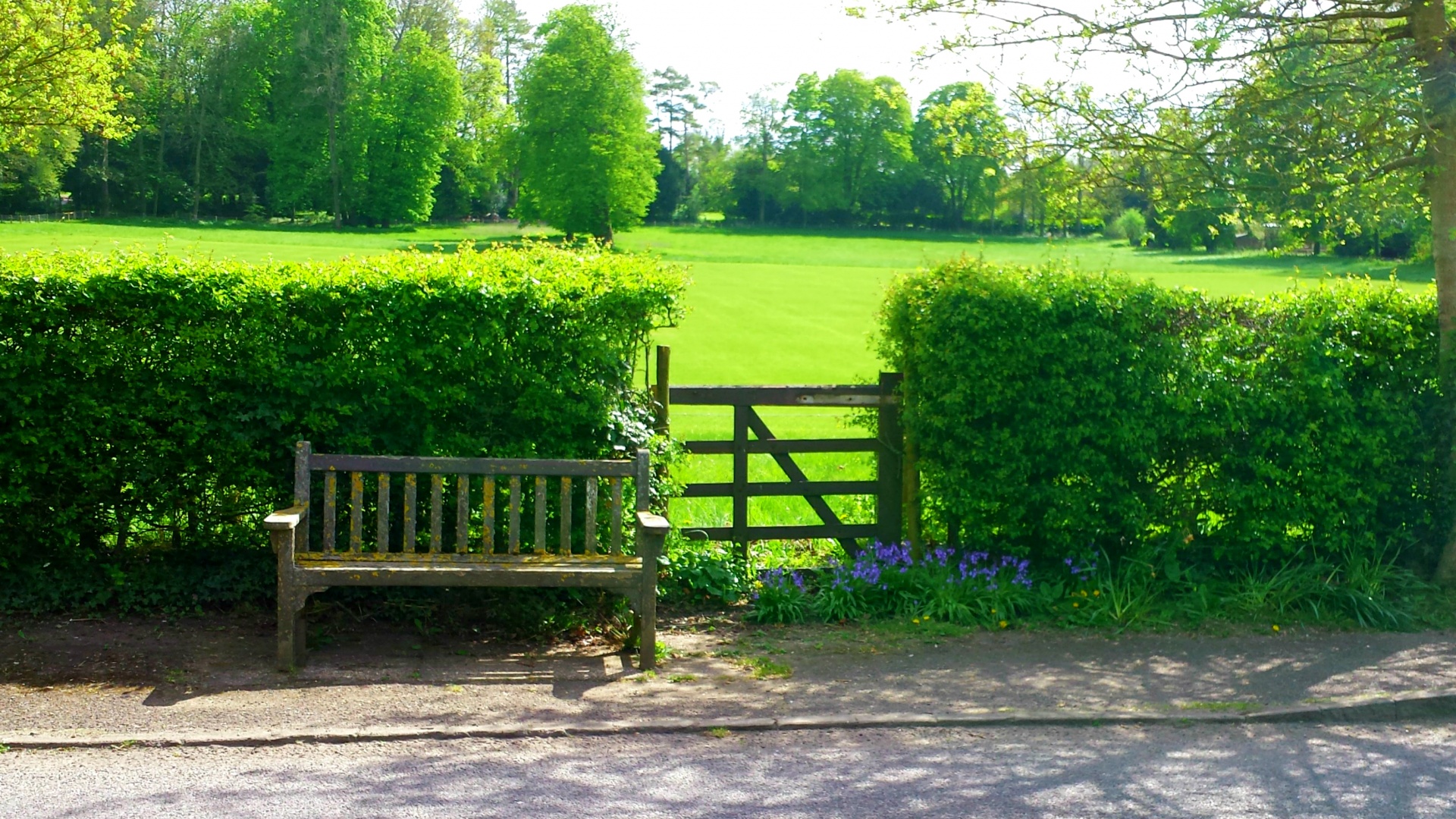 Bench Field Green Free Photo - Hedge Country Lane - HD Wallpaper 