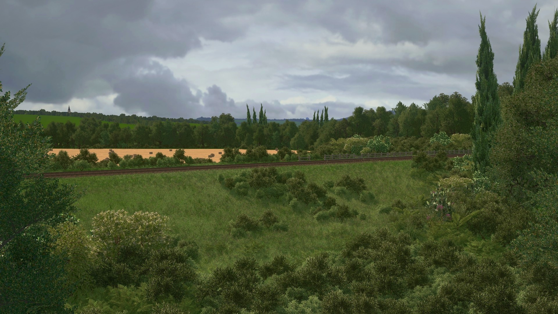 Cypress Family - HD Wallpaper 