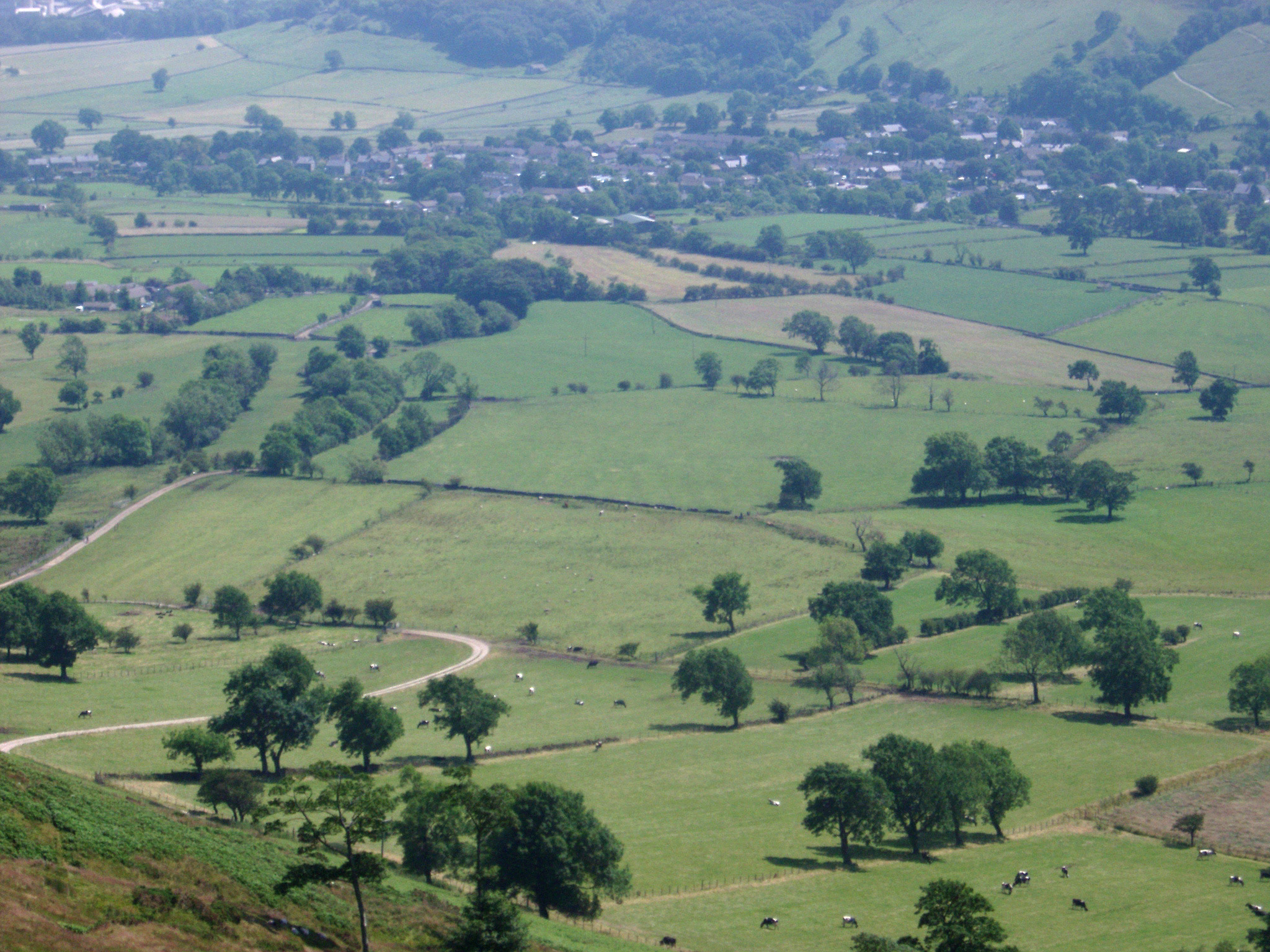 Derbyshire Dales Landscape With Rural Fields And Farmland - Rural Derbyshire - HD Wallpaper 