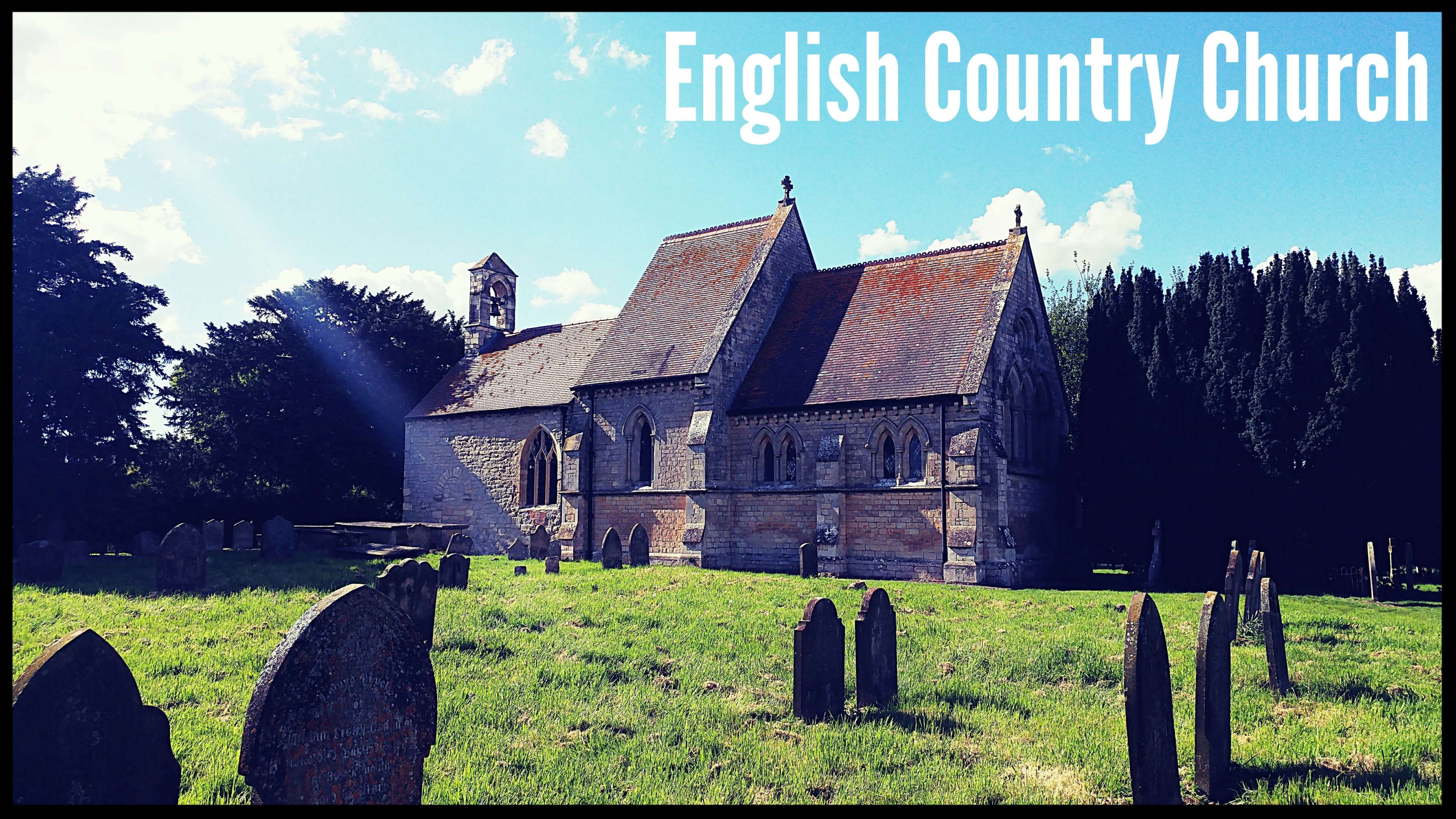 Grass - HD Wallpaper 