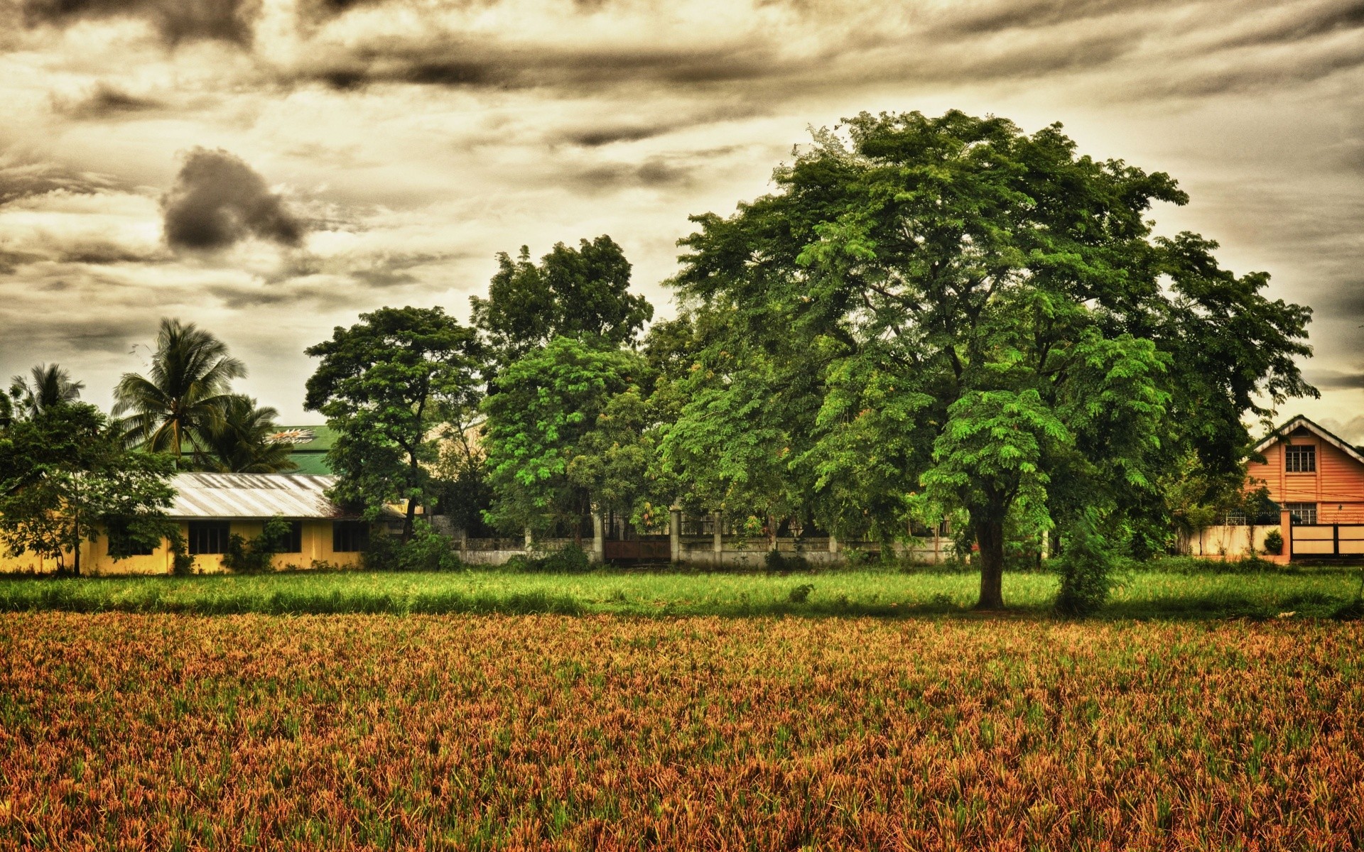Landscapes Tree Agriculture Farm Landscape Cropland - Hd Philippine Farm - HD Wallpaper 
