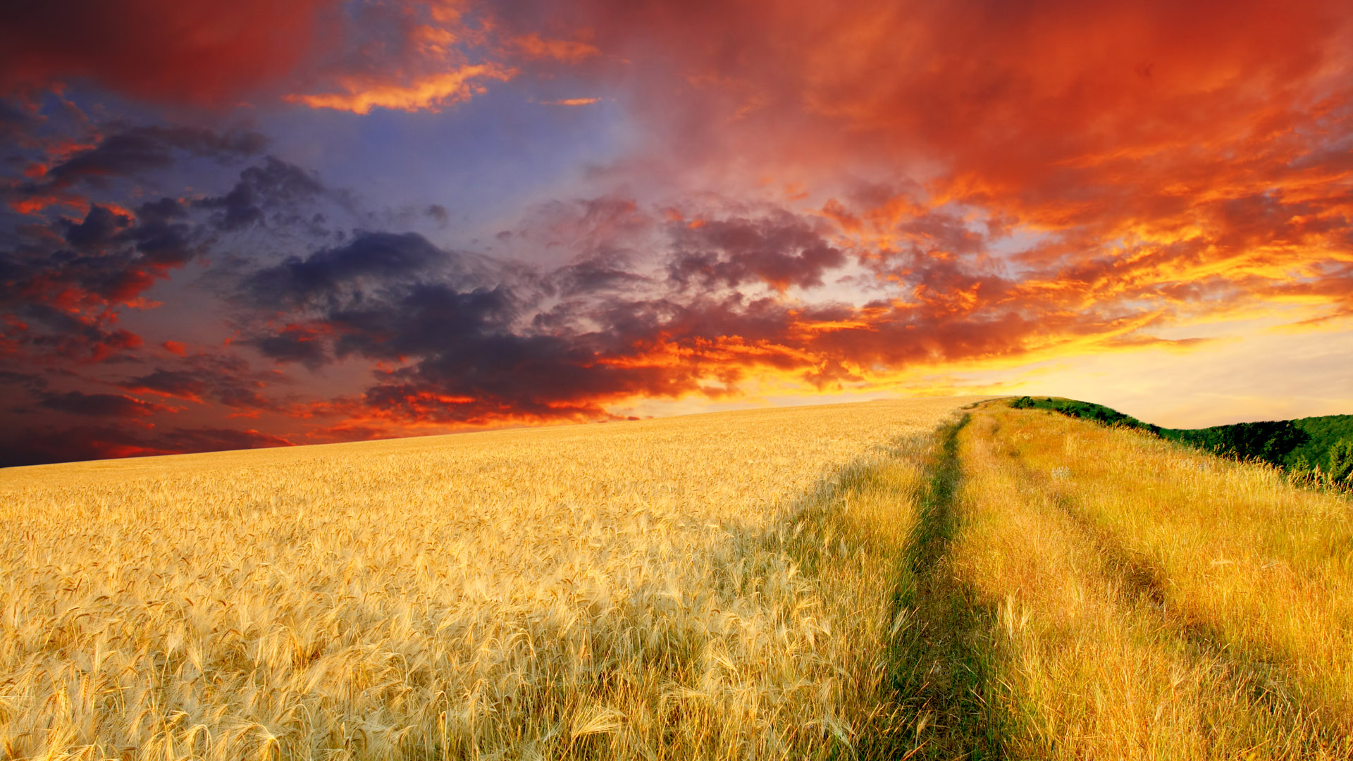 Farm Scene Wallpaper - HD Wallpaper 