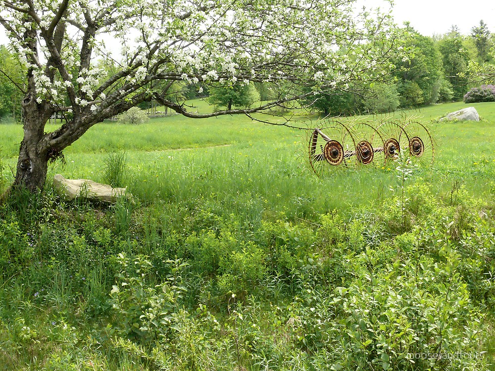 Spring Farm Scenes - HD Wallpaper 